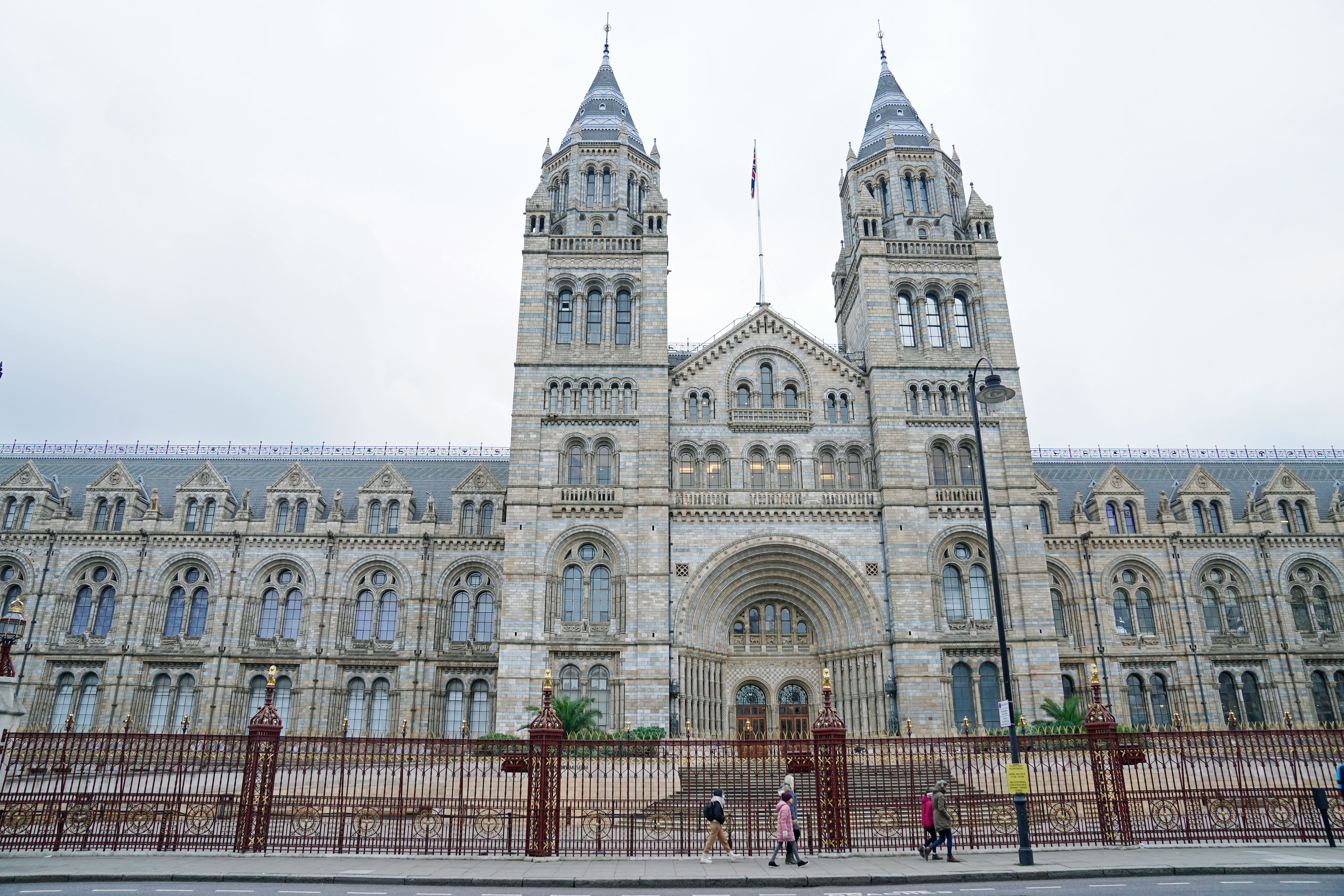 Researchers around the world will soon have access to millions of historical specimens found in UK museums as part of a £473m UK fund to enhance research infrastructure (Stefan Rousseau/PA)