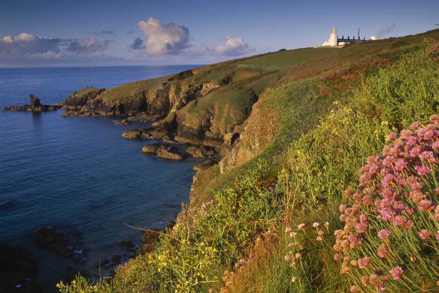 Rare and unique specie make their home on the Lizard, Cornwall (David Noton/National Trust/PA)