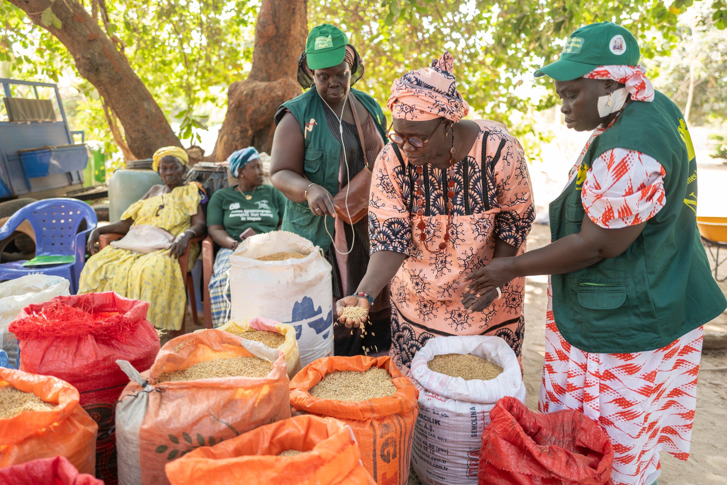 Senegal Female Farmers