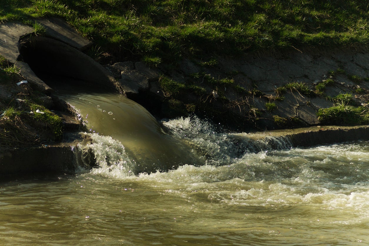 Water bosses are to be warned of the consequences of pumping filth into Britain’s waterways