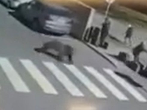 A rampaging bear that injured five people in a town in Slovakia has been shot dead