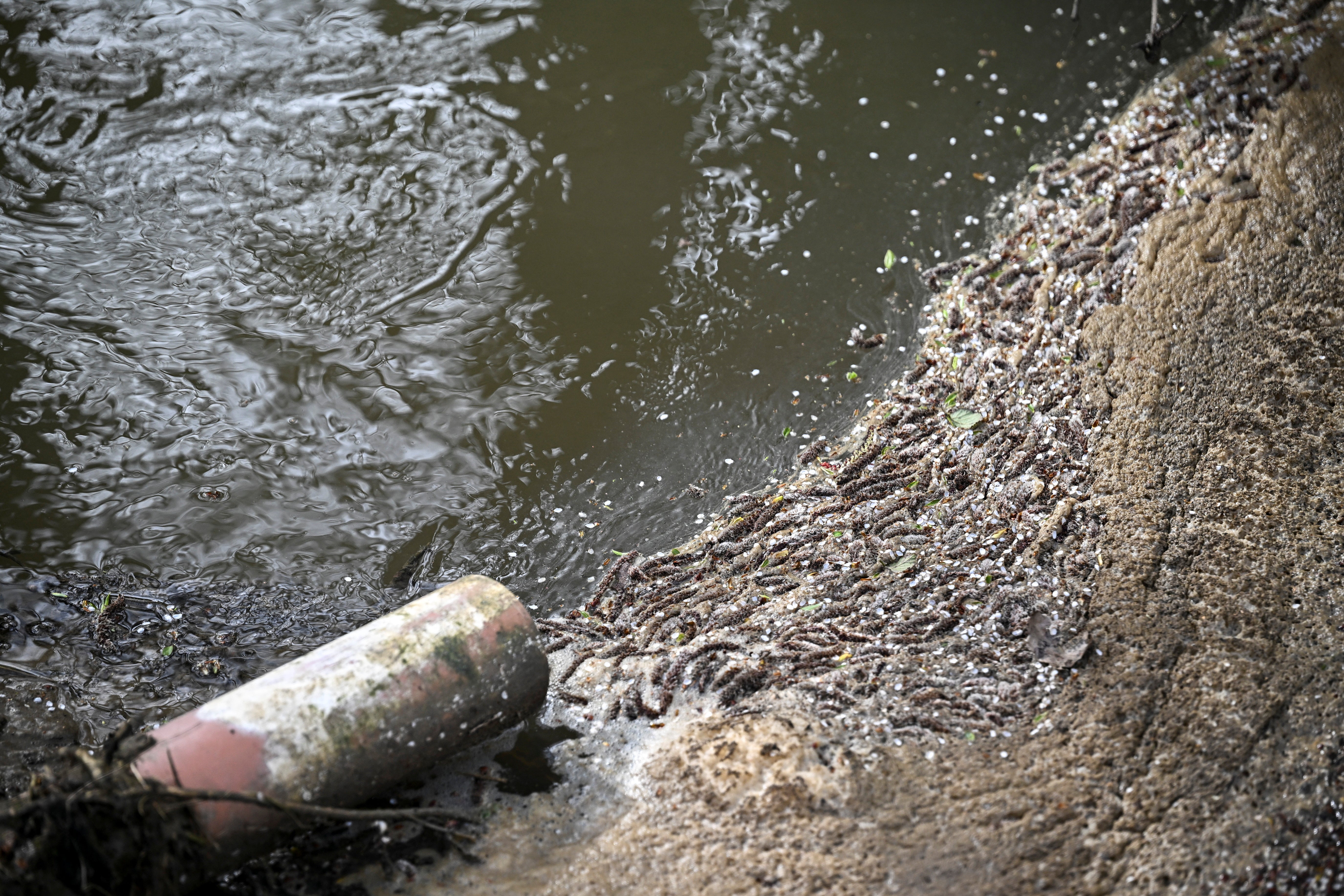 Storm overflows are only supposed to be activated during extreme weather but for years they have been used routinely, with some water companies discharging sewage even on days when it has not rained