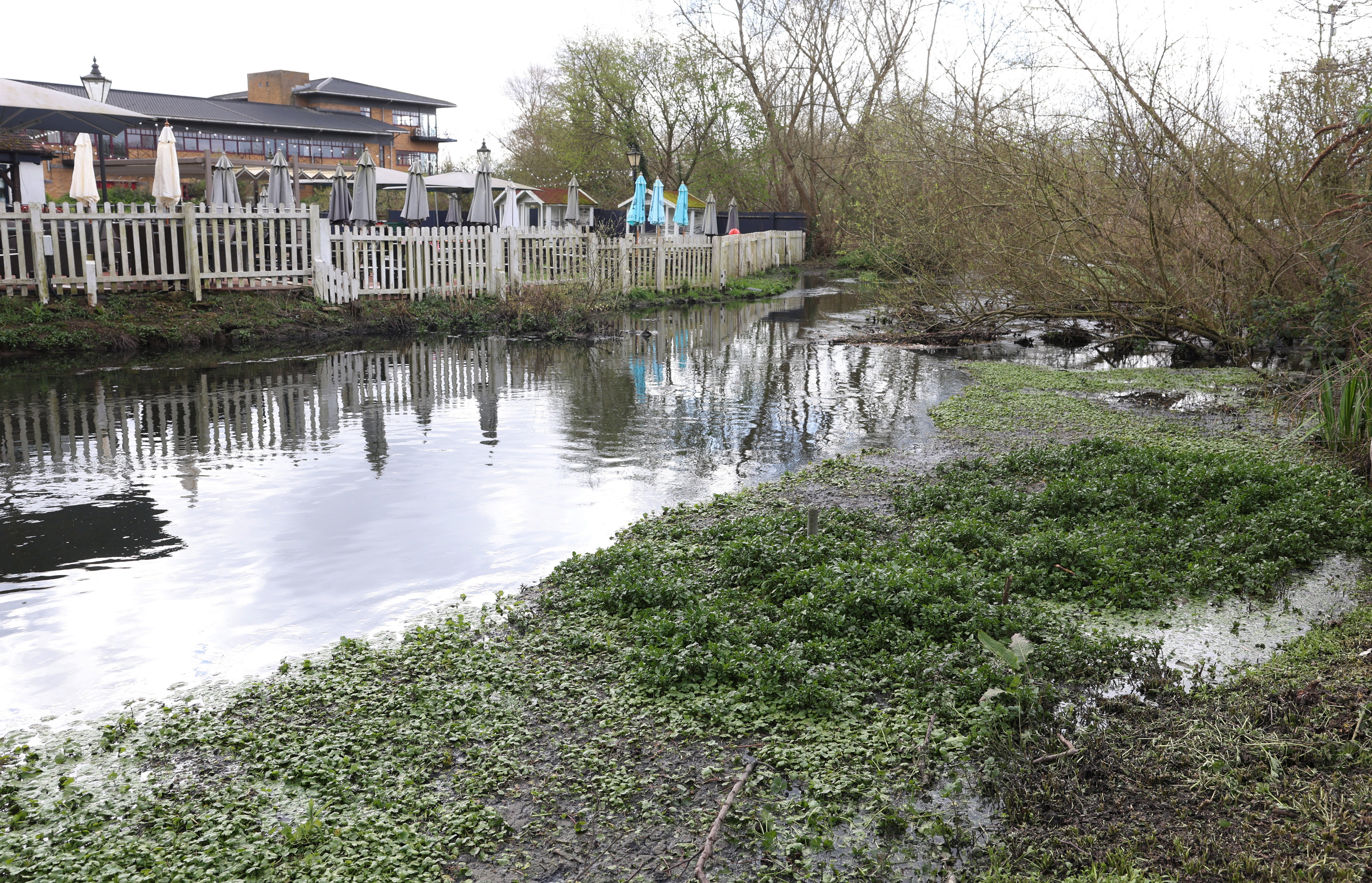 Cases of waterborne diseases such as dysentery have soared since 2010