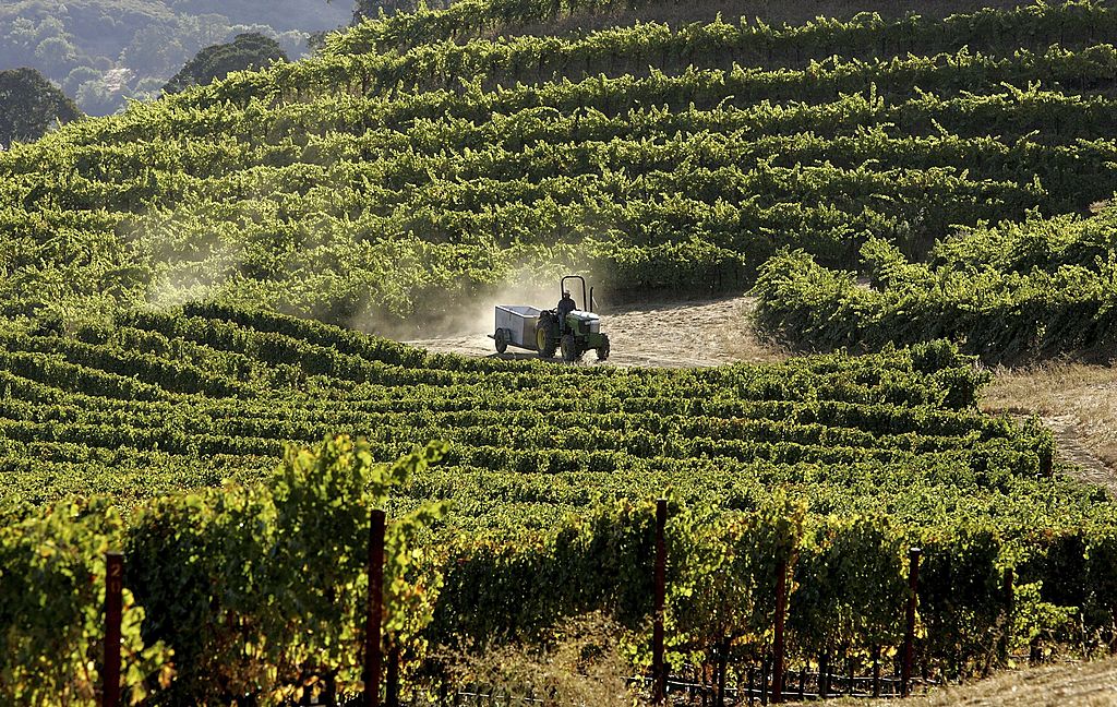 A winery in Napa Valley, northern California, pictured in 2006. The area is being forced to adapt to the impacts of the climate crisis