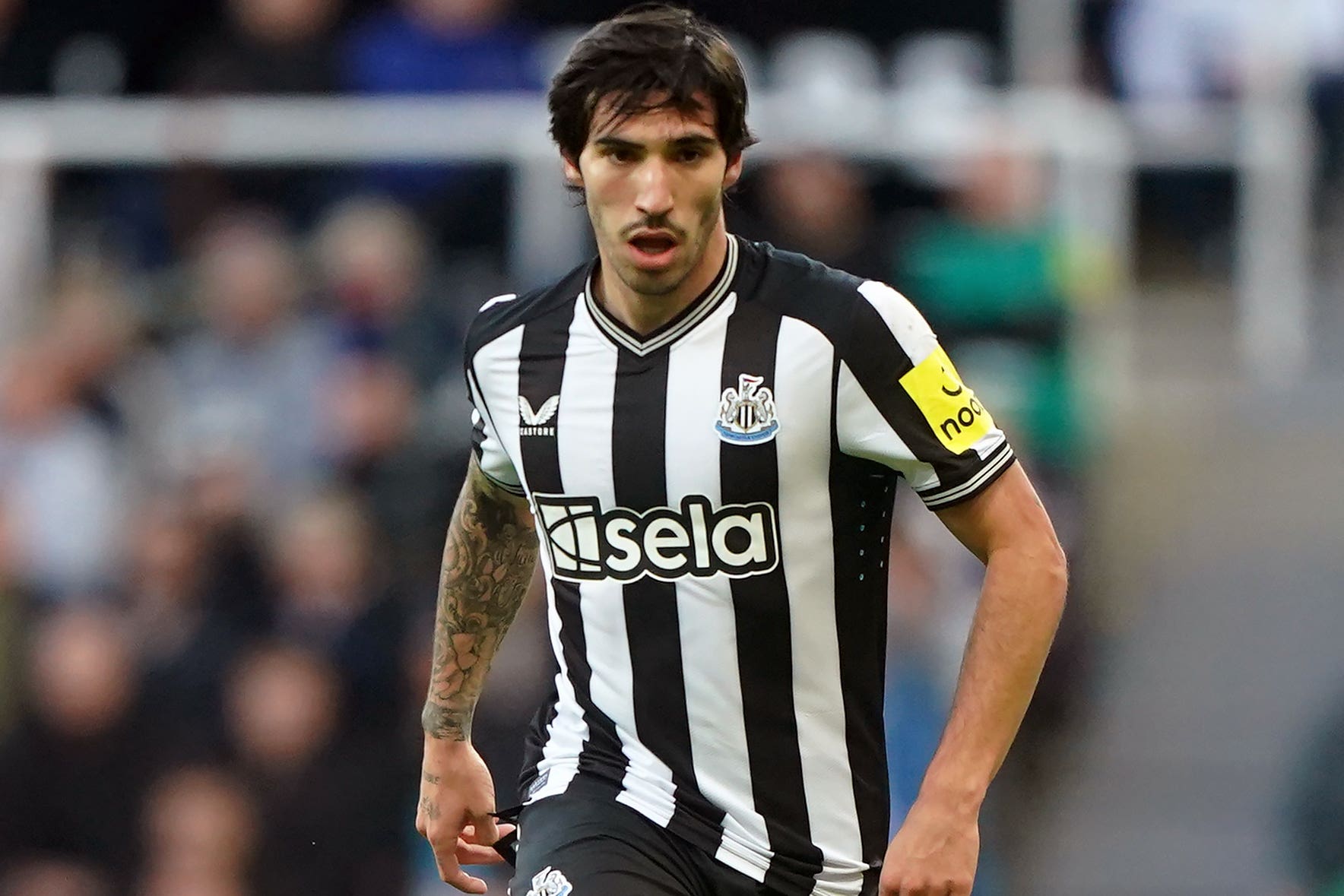 Sandro Tonali joined Newcastle last summer