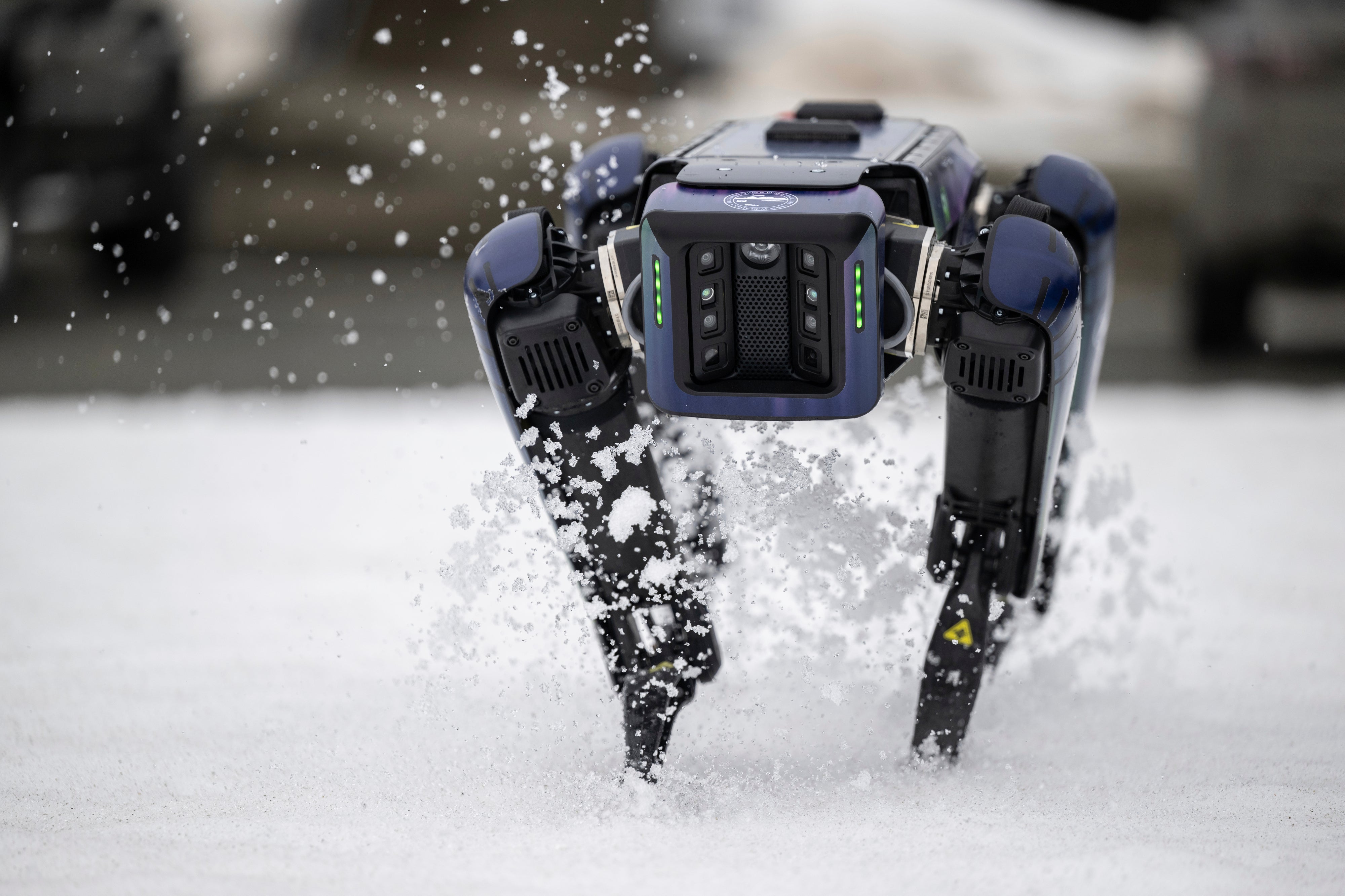 An Alaska Department of Transportation robotic dog walks through snow in Anchorage, Alaska, on March 26, 2024