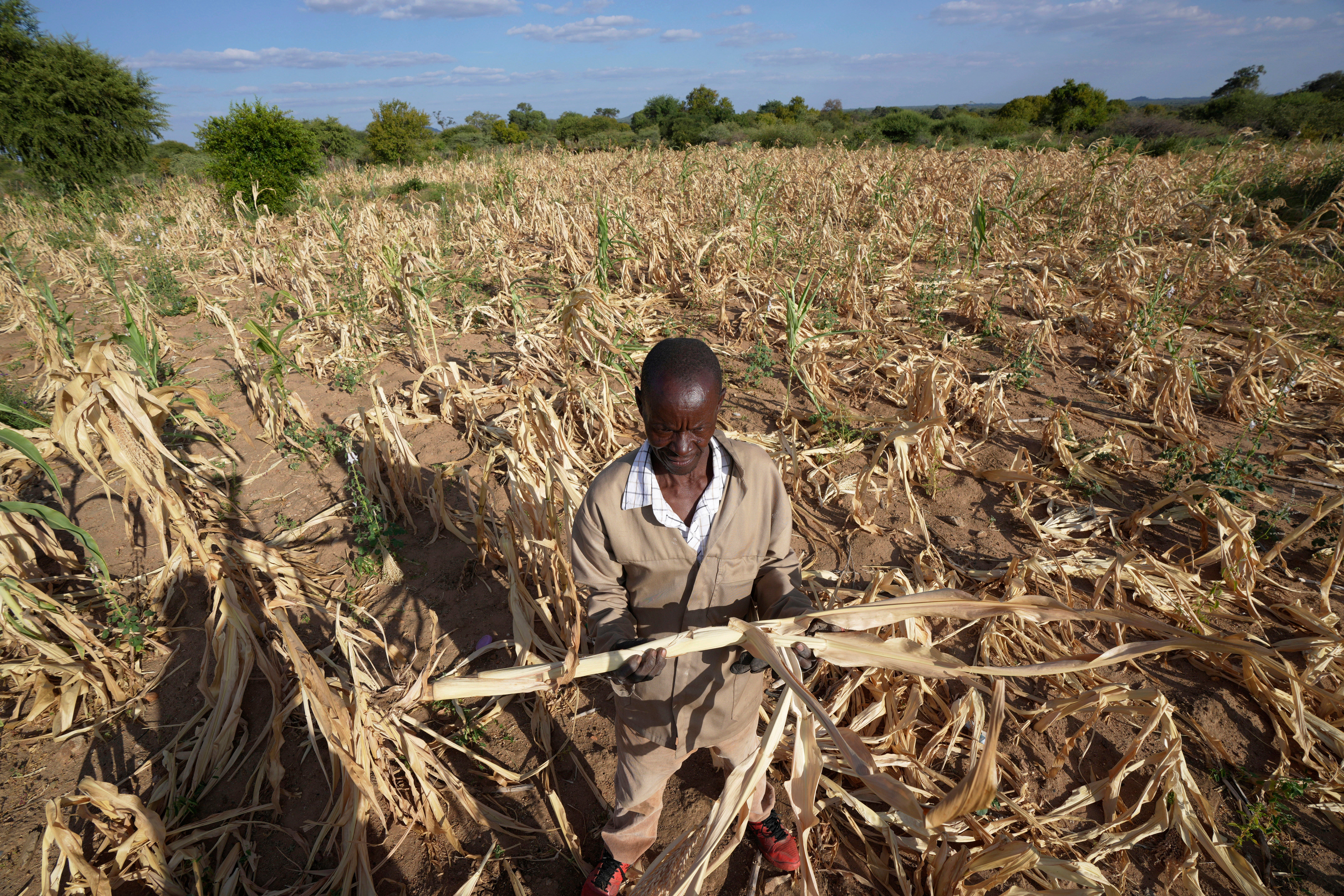 Southern Africa Drought and Hunger