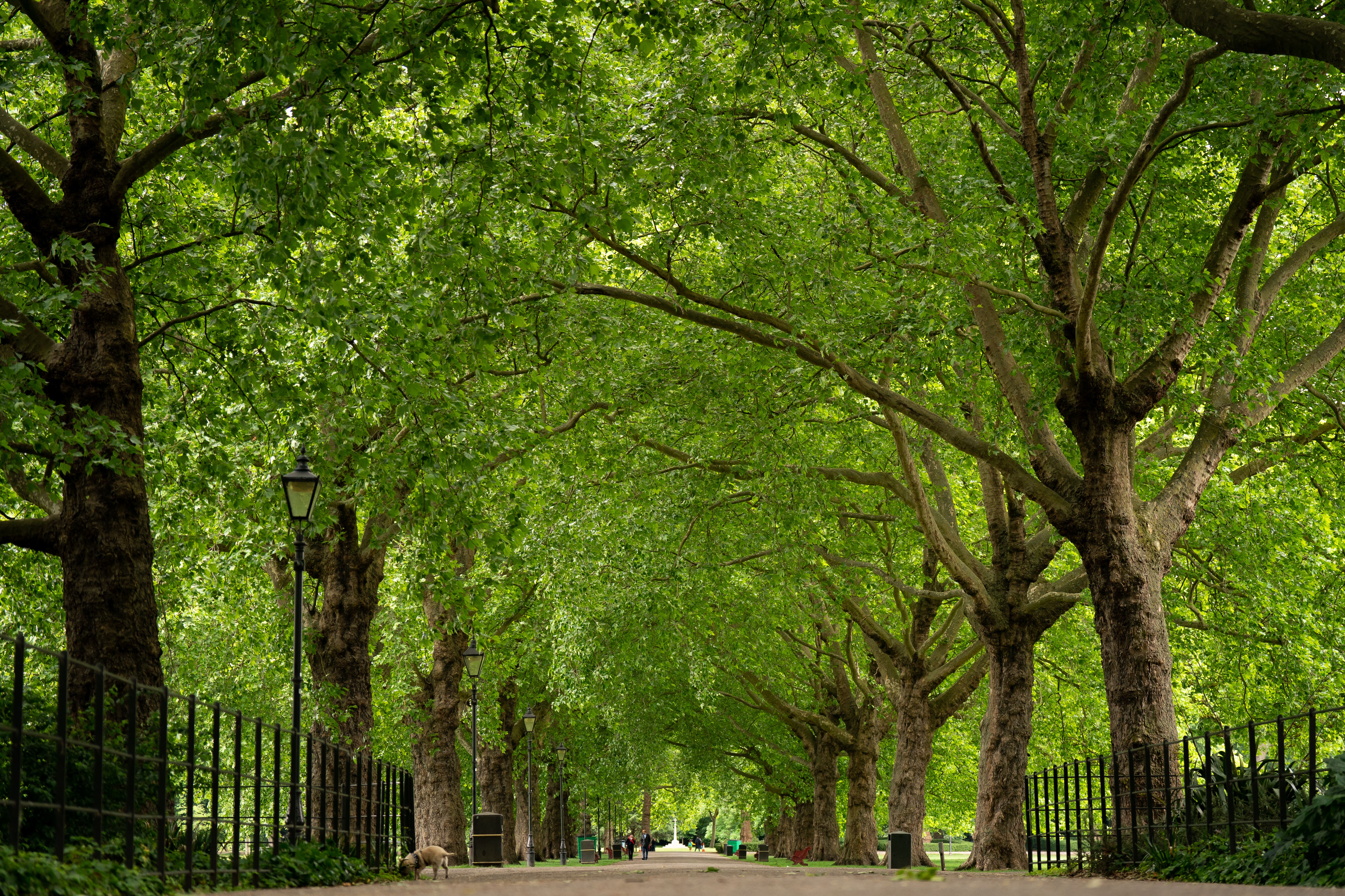 Nearly two-thirds of parents only take their children to green space once a week or less (Aaron Chown/PA)