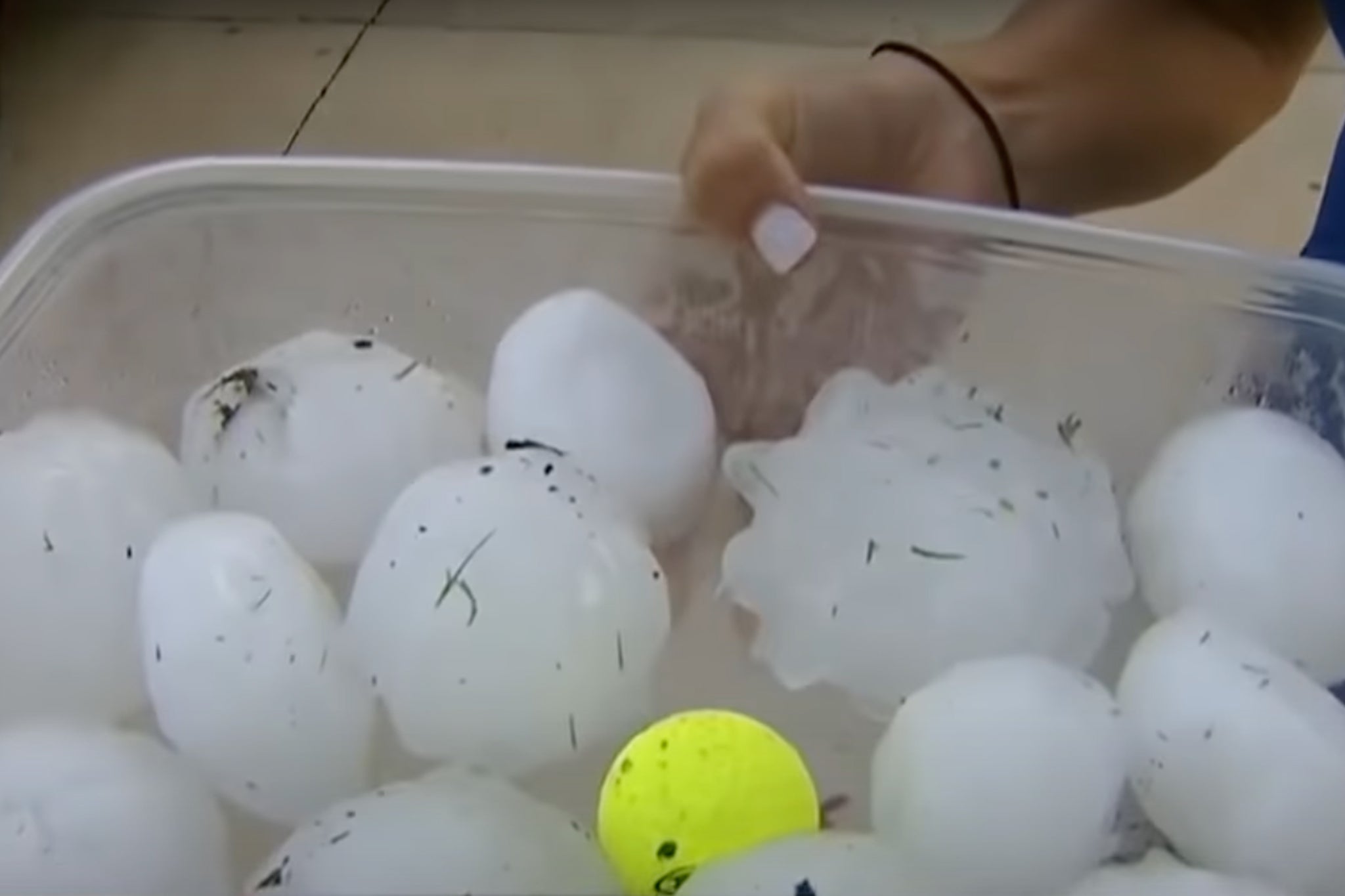 Large hail falls in parts of North Texas