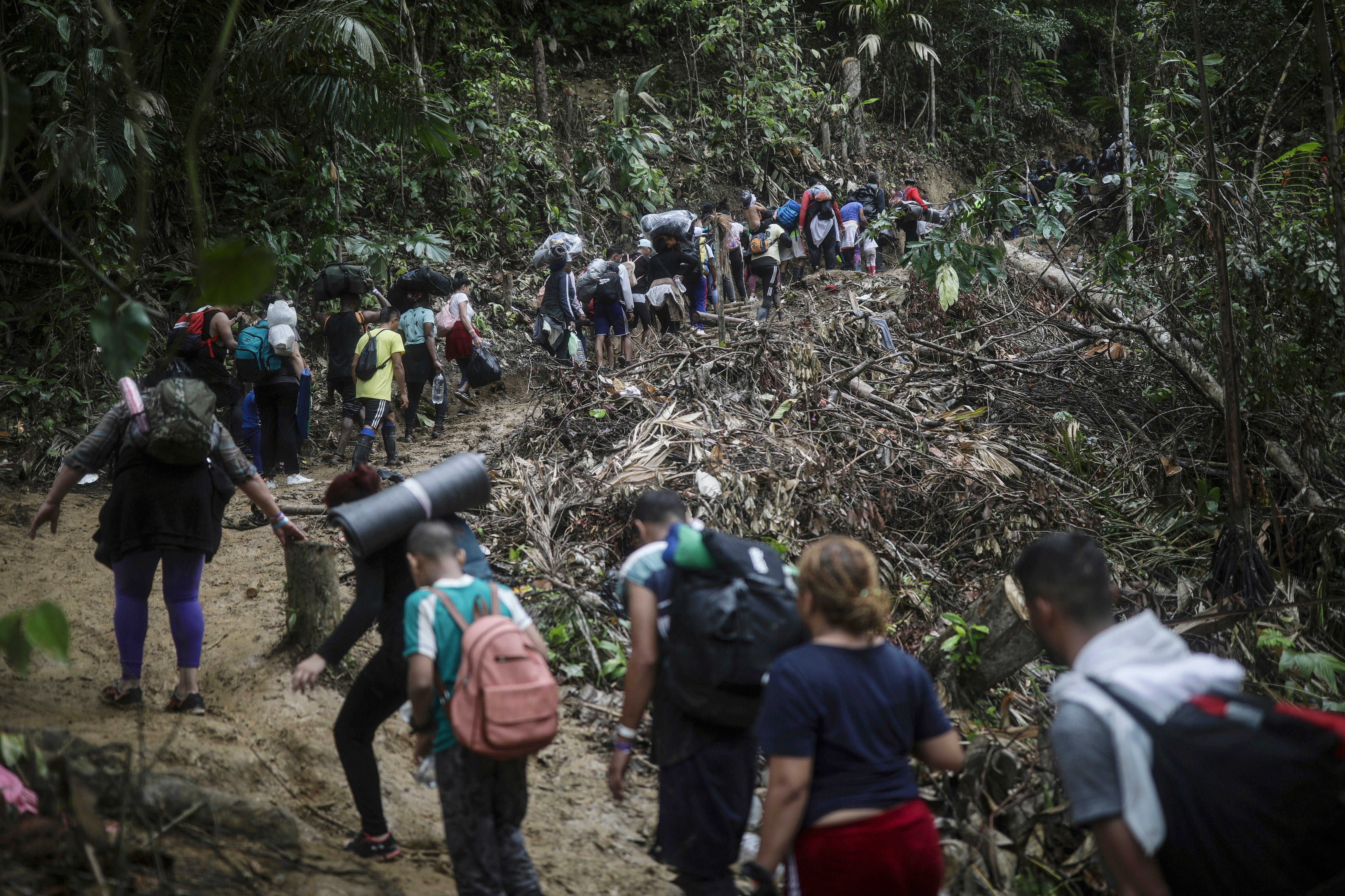 Darien Gap Report