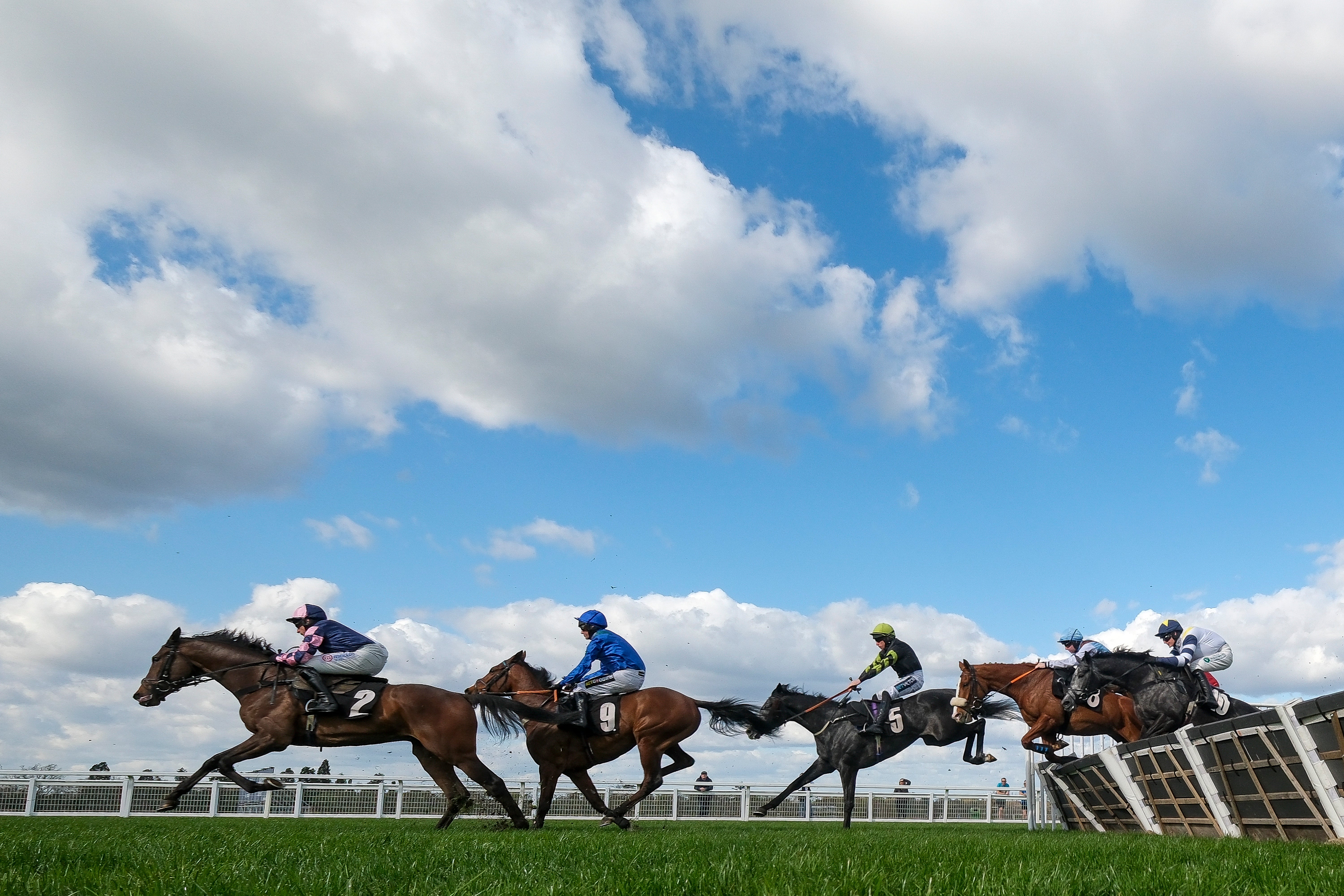 A jockey died in Canberra following injuries sustained on a race course