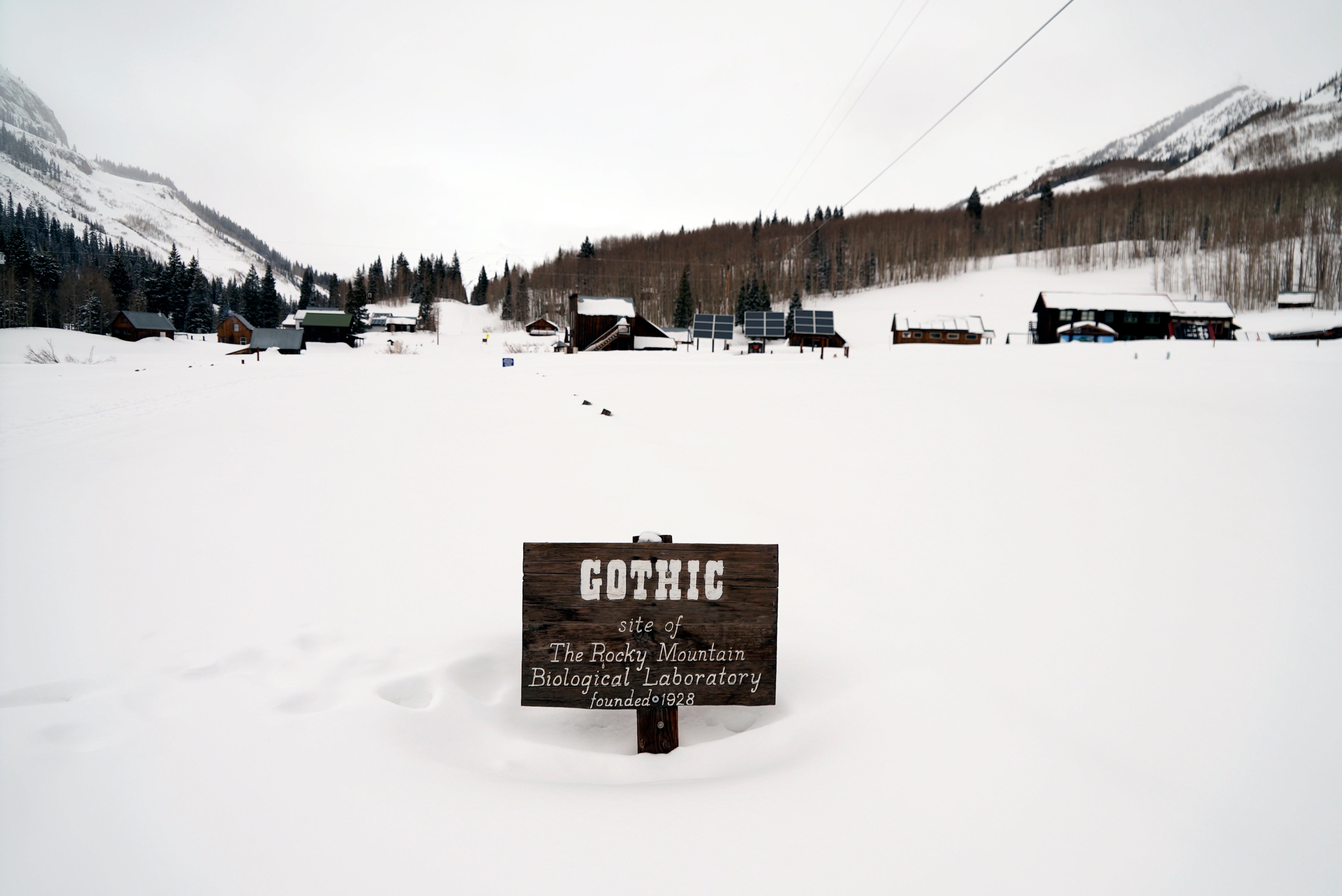 Citizen Scientist Snow