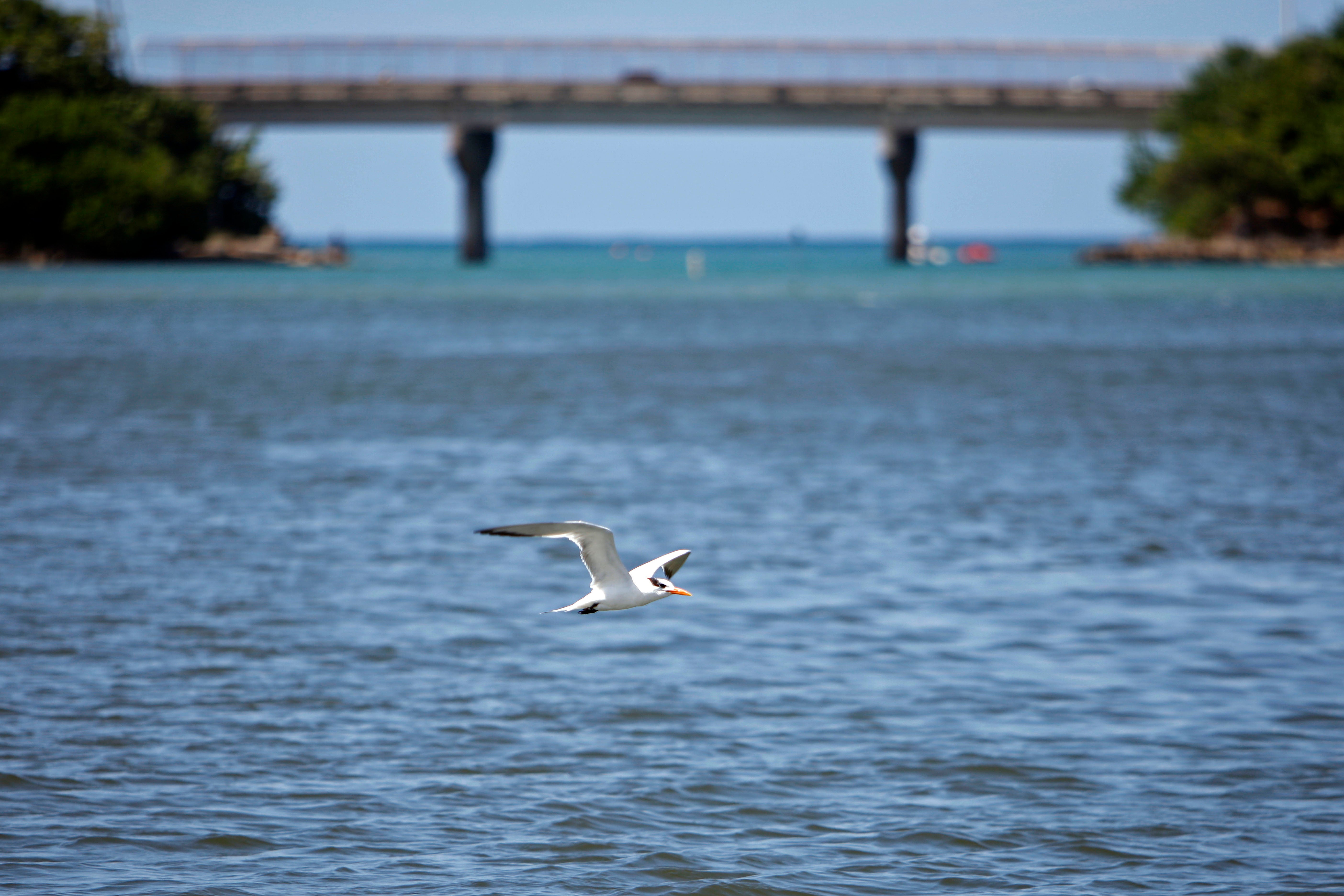 Puerto Rico Dredging Project