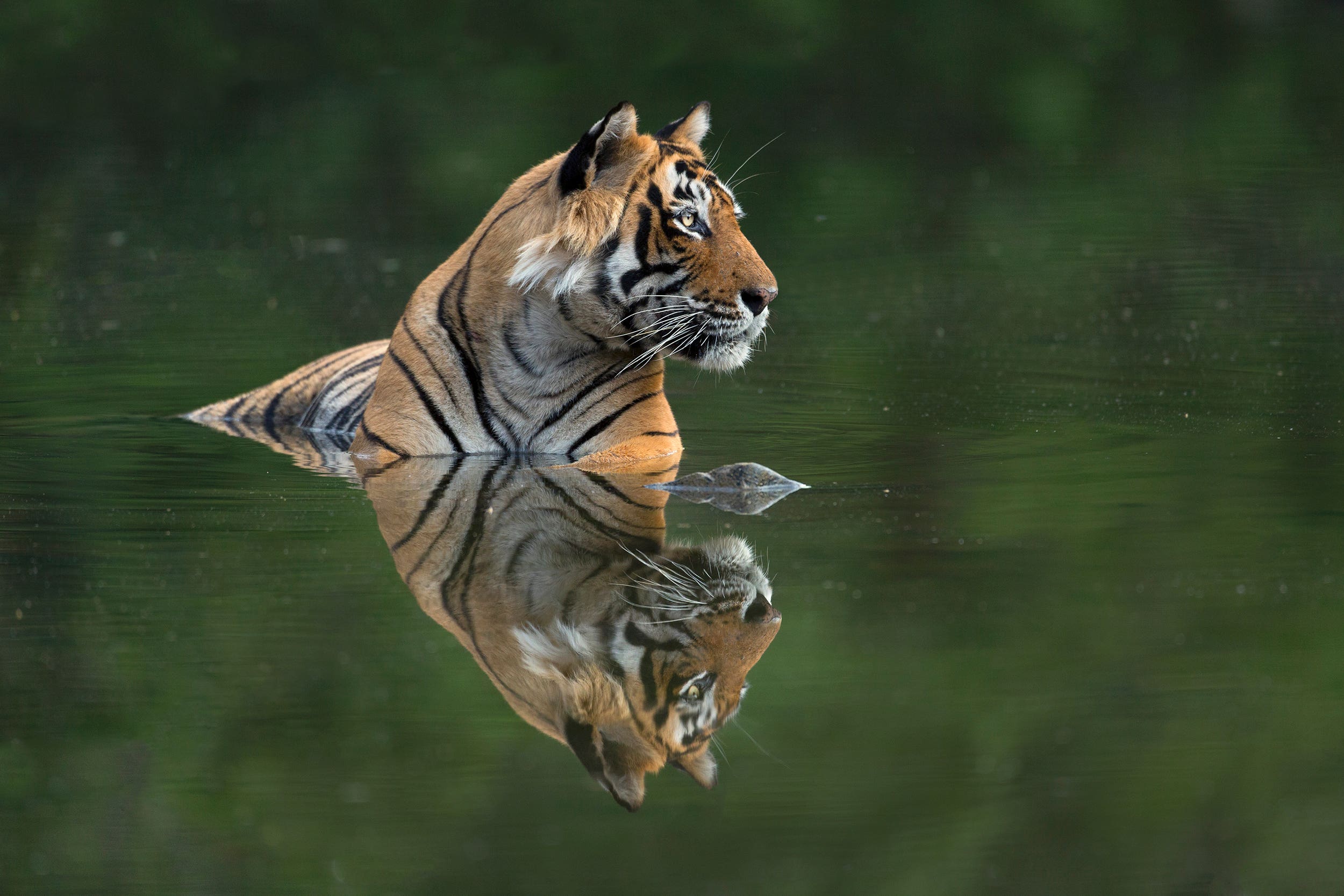 Representative. Wildlife monitoring tools like drones and camera traps are being misused in Uttarakhand’s Jim Corbett National Park to surveil and intimidate local women, researchers claim