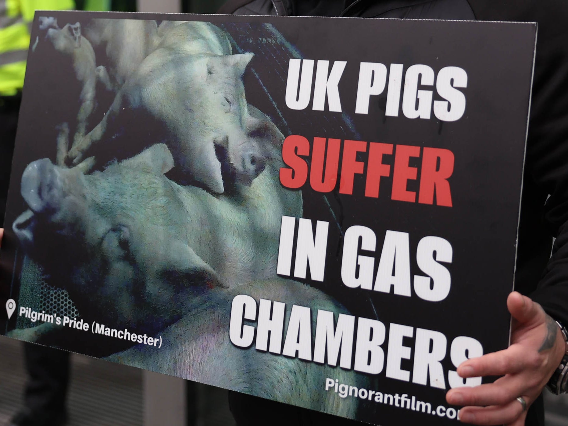 The activists say gas chambers are cruel