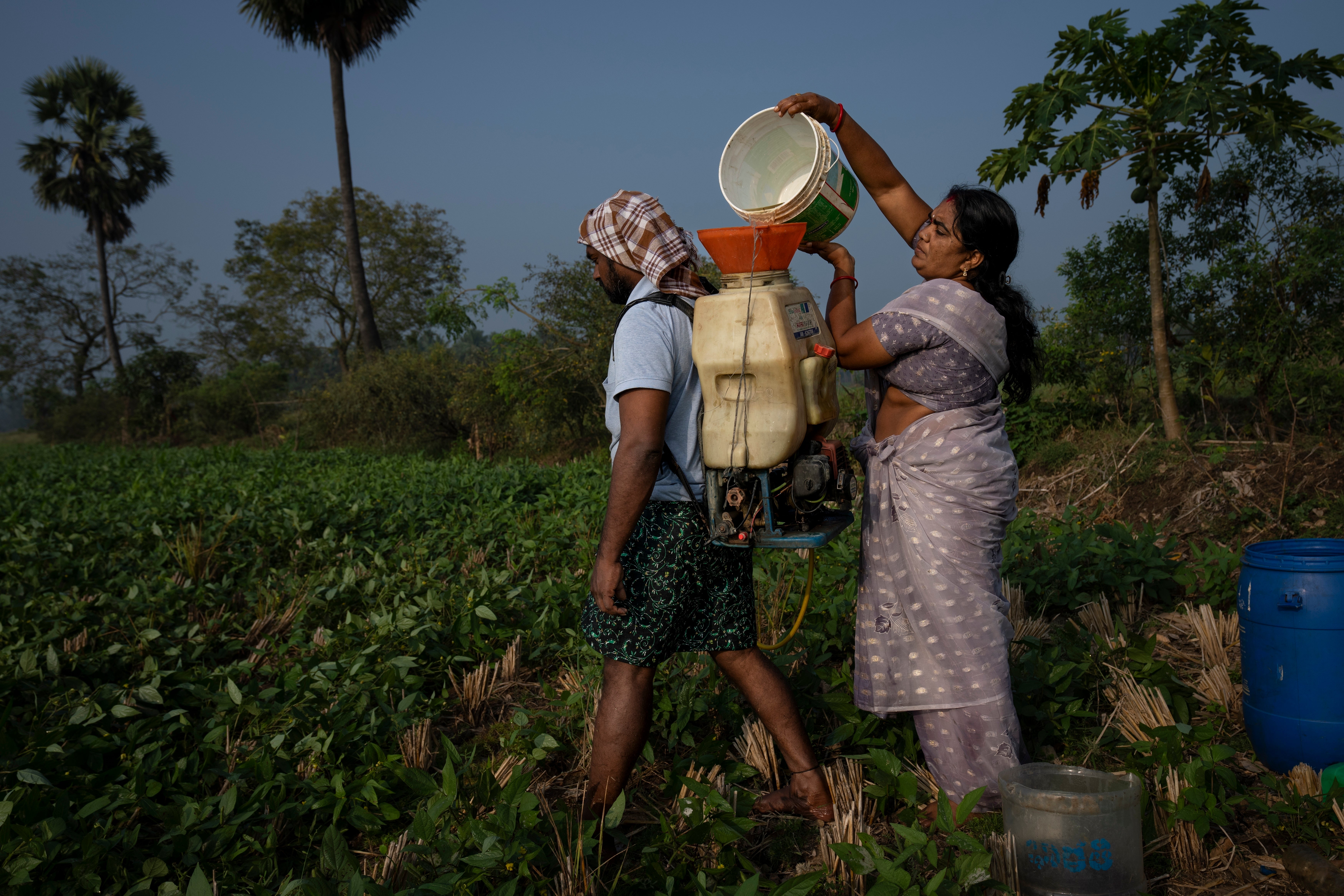 Climate Resilient Farming
