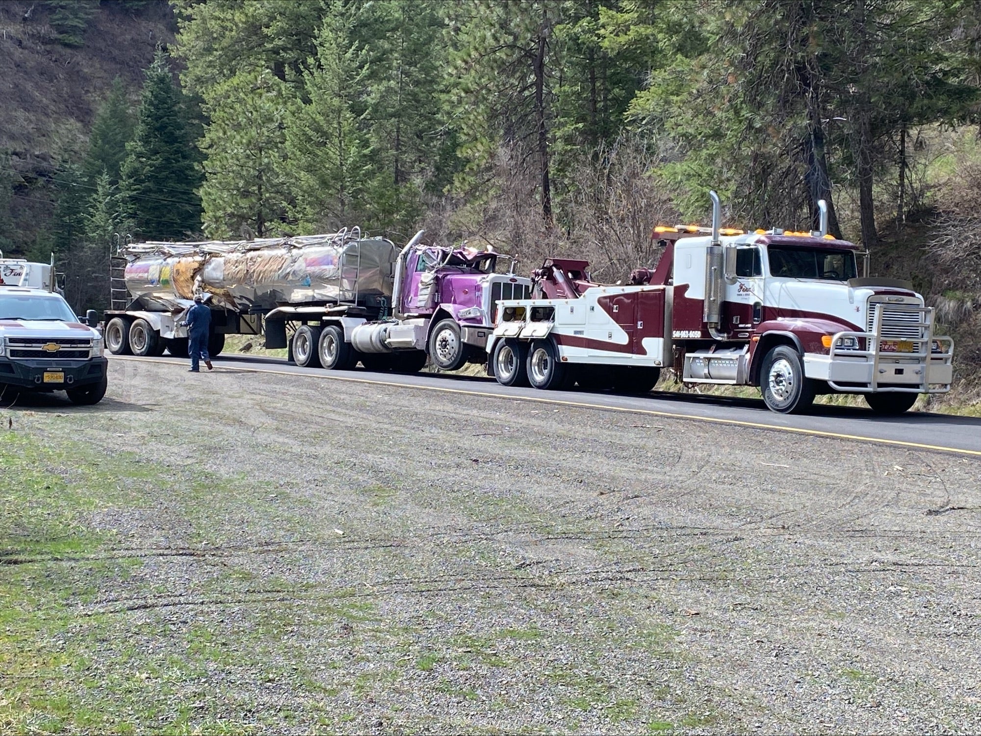 The truck was carrying 102,000 fish at the time of the accident