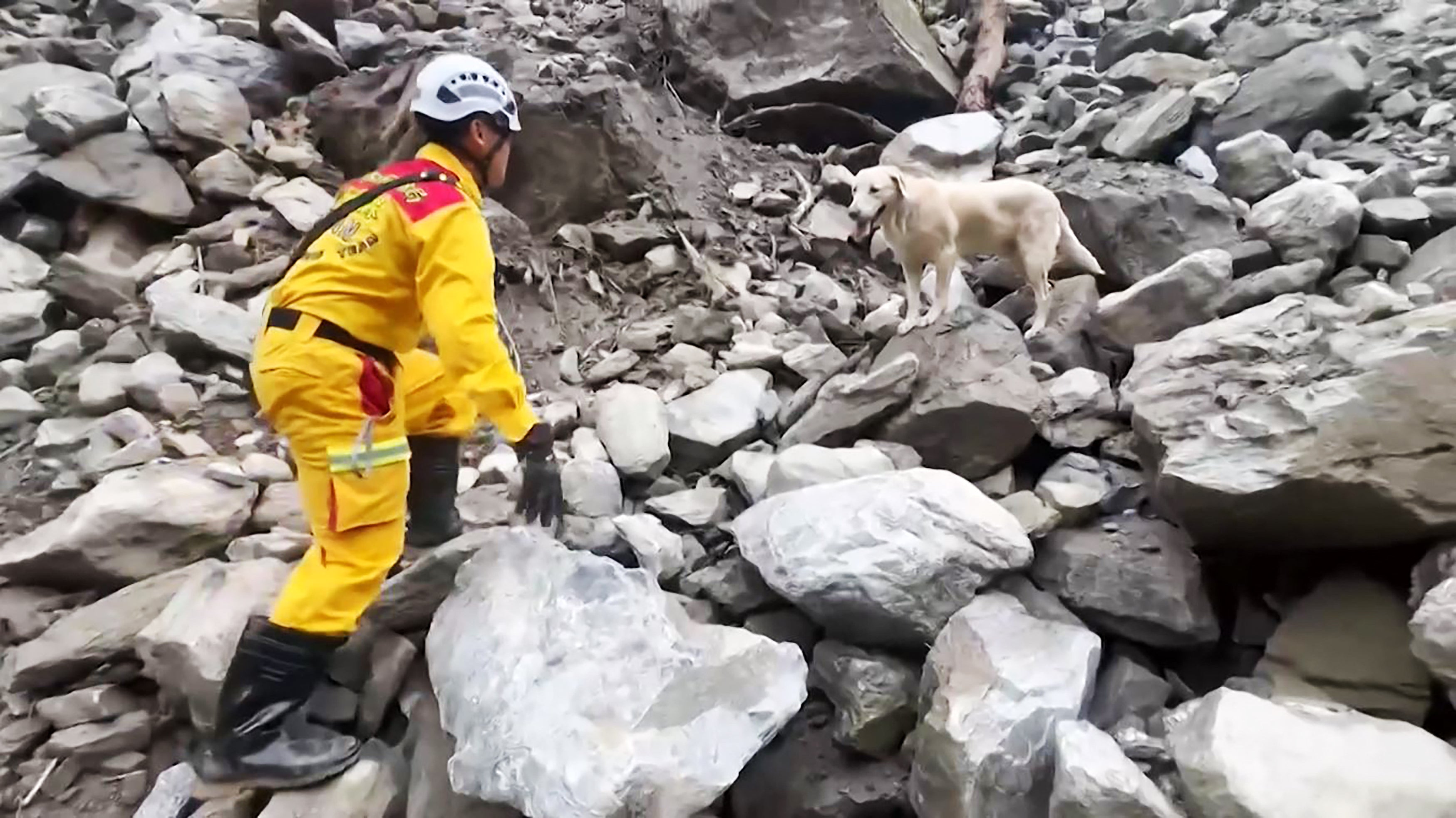 This screen grab from a video taken on April 6, 2024 and released by the Hualien County Fire Department shows a rescuer locating the body of an earthquake victim with the help of Roger, an eight-year-old labrador