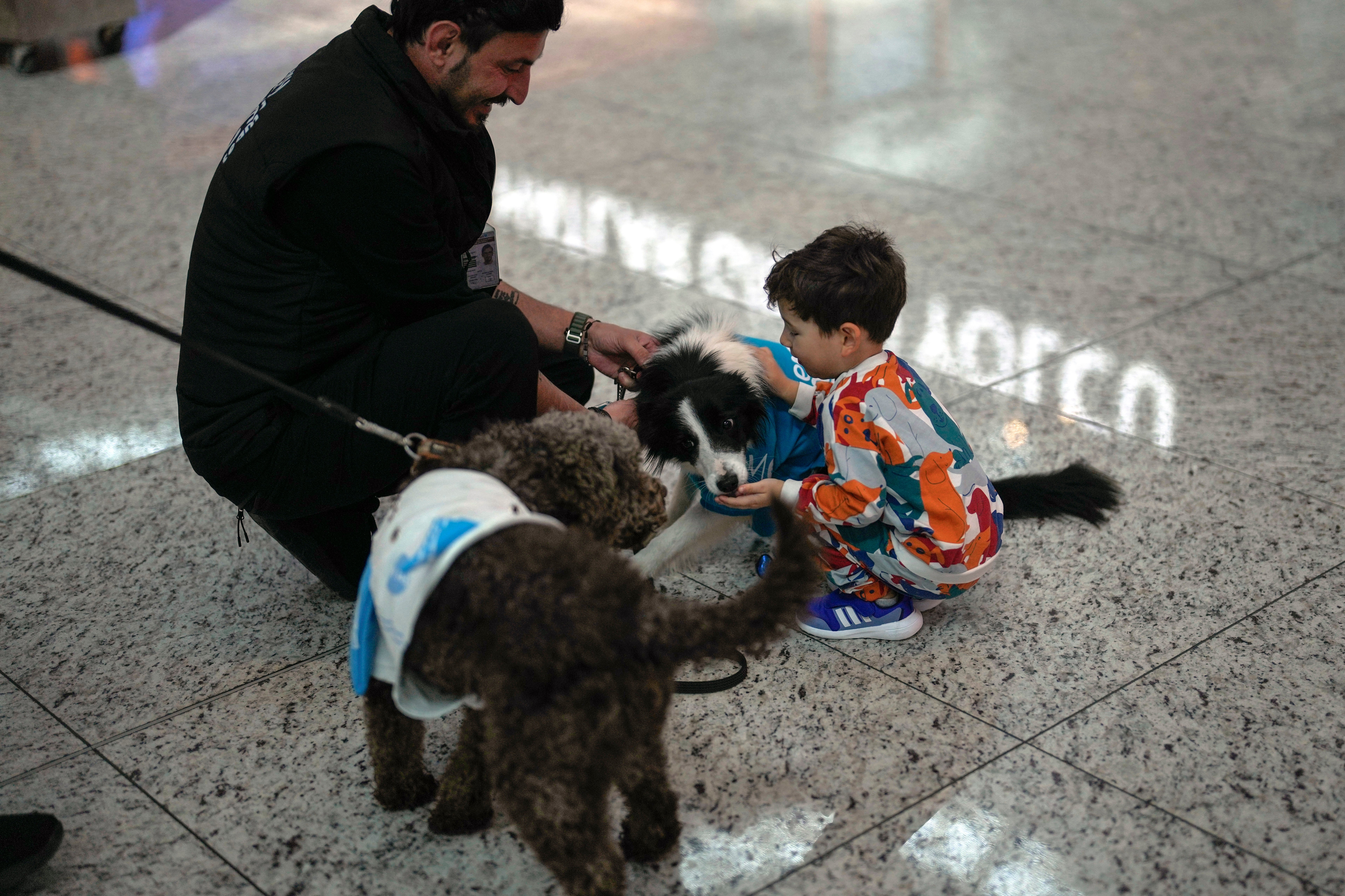 Turkey Airport Dogs