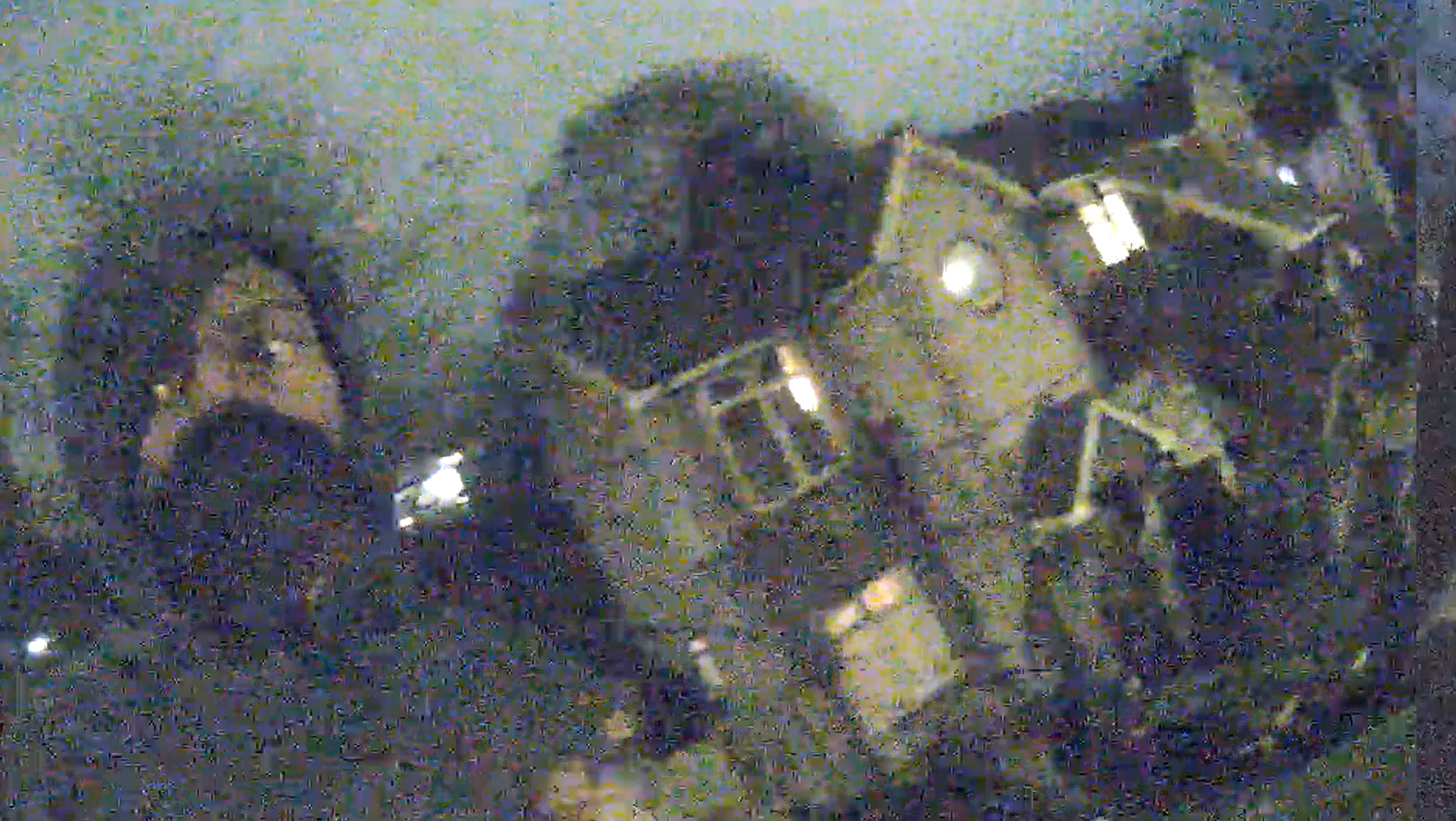 Screengrab of the moment Gordon was arrested near Brighton