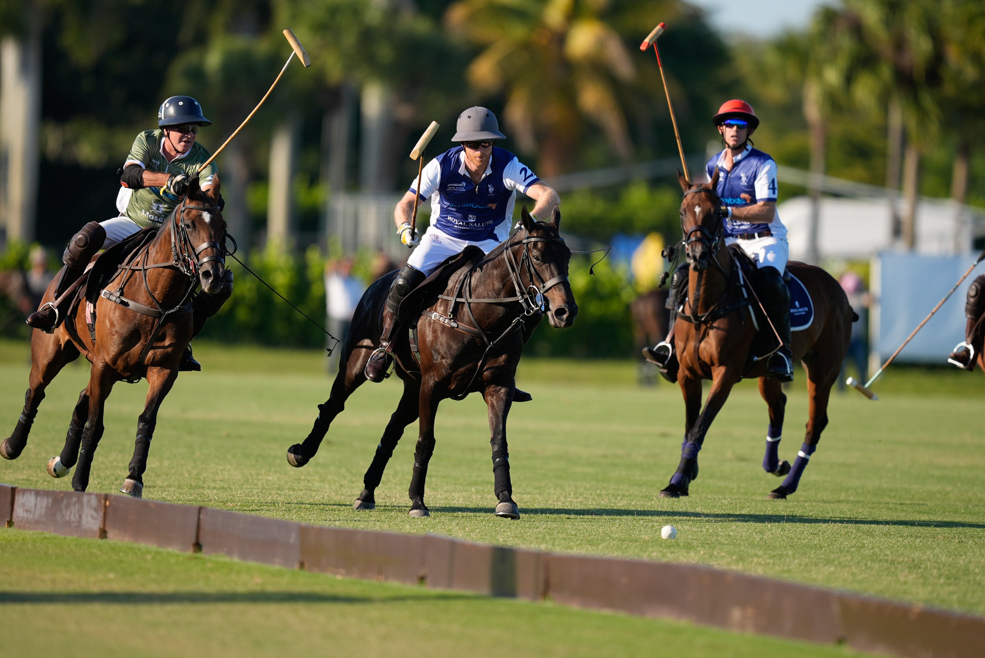 Prince Harry Polo
