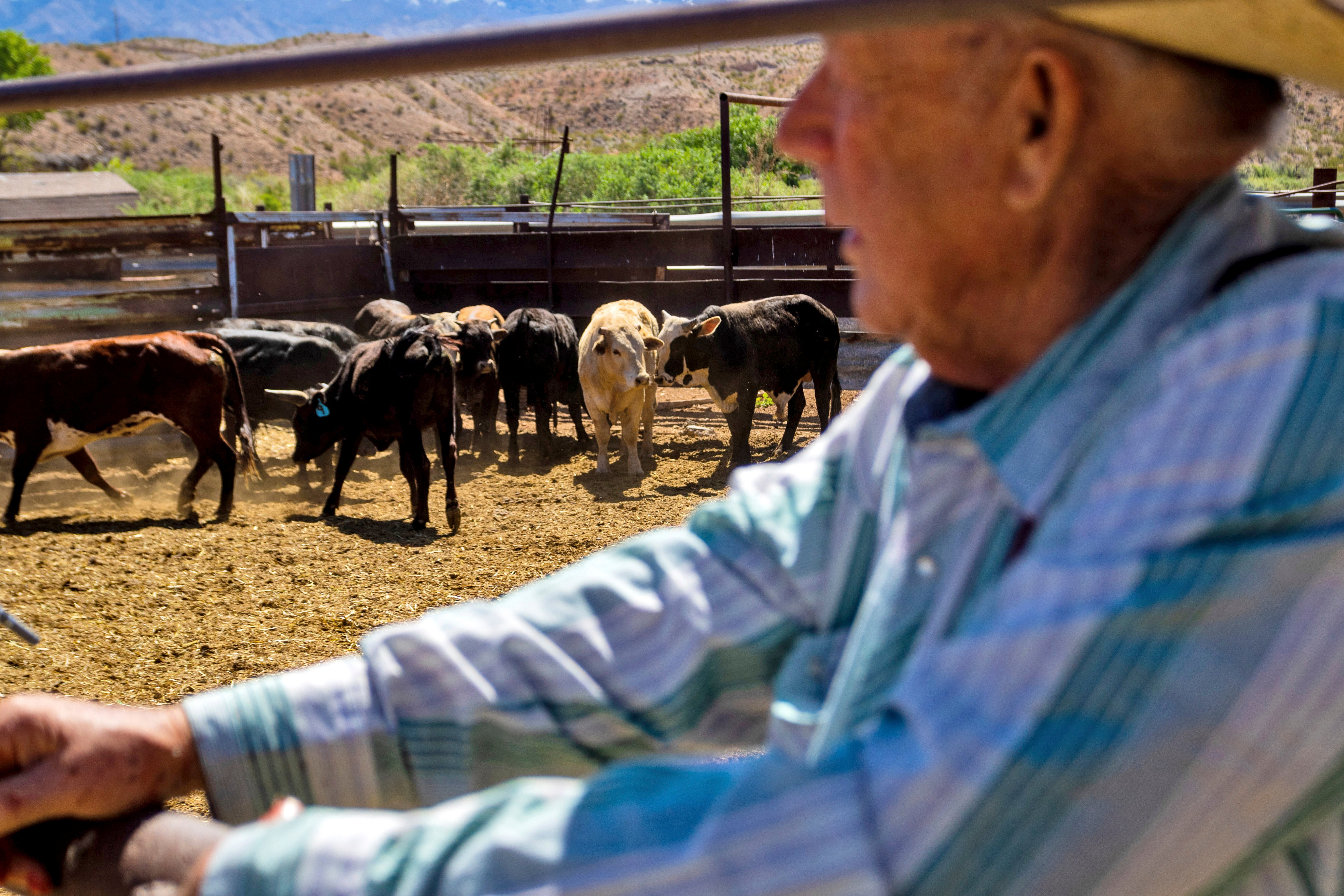 Ranching Standoff 10 Years Later
