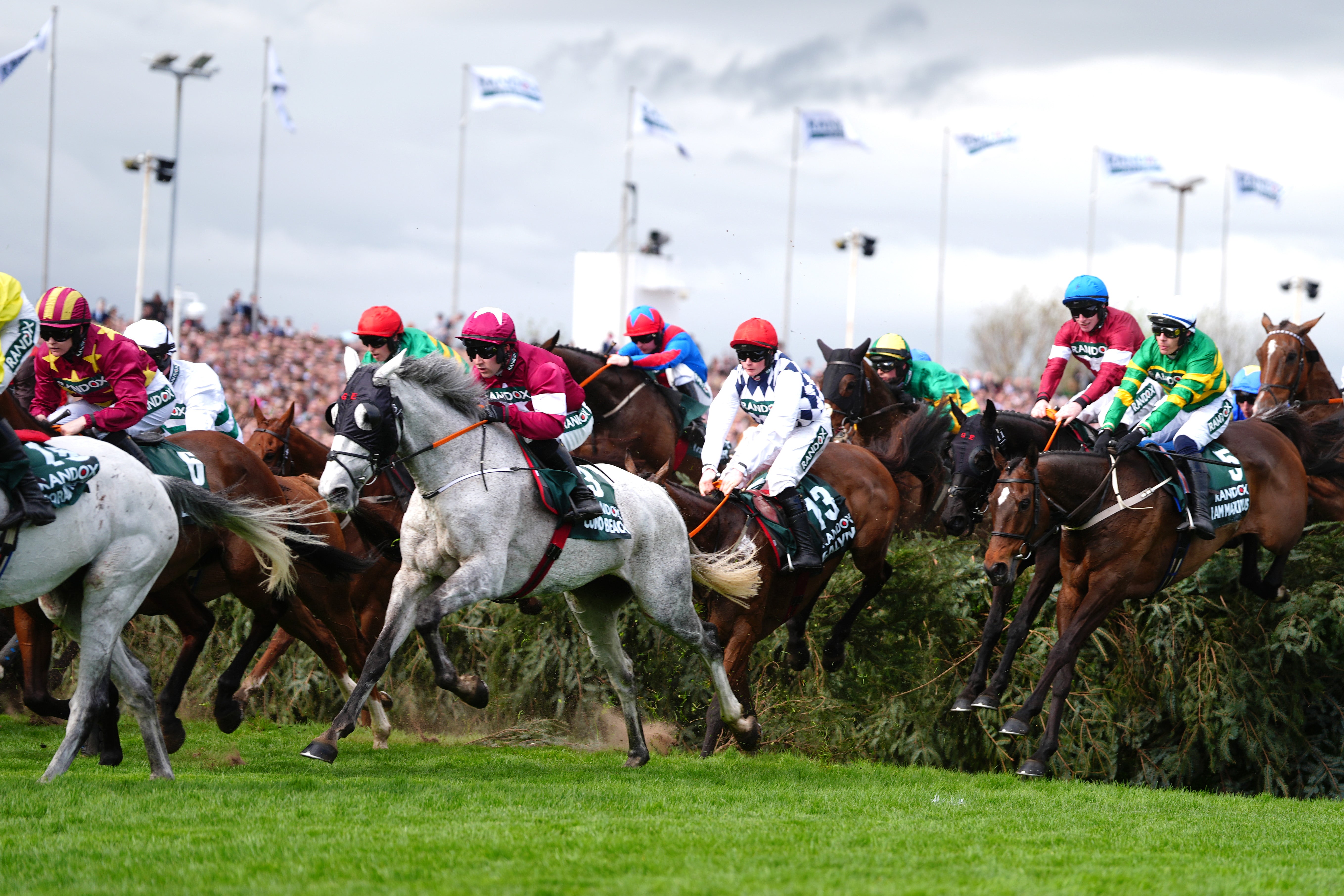 Paul Townend and I Am Maximus waited in the middle of the field over the first circuit