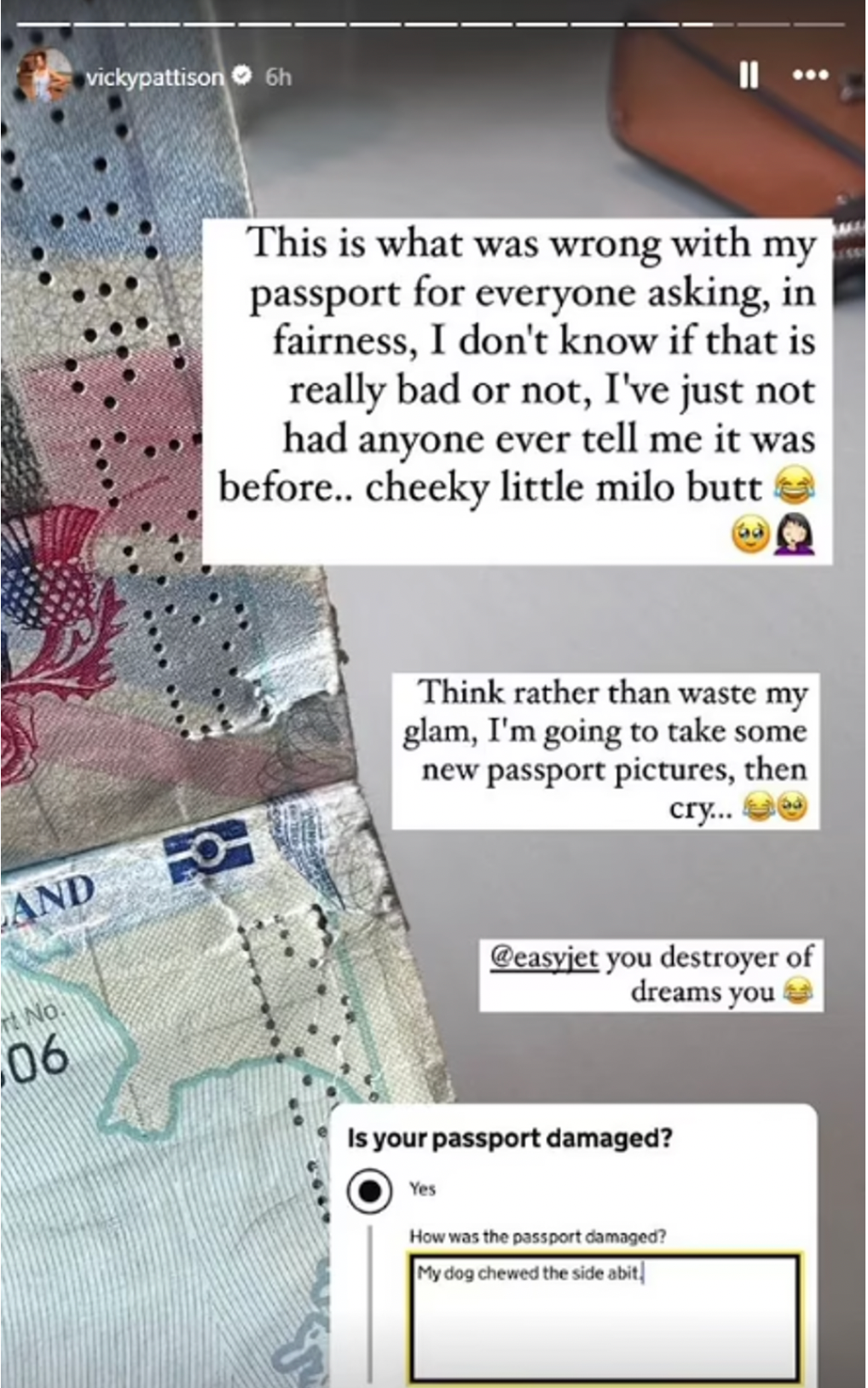 Pattison shared a photo of the damage to her passport on Instagram