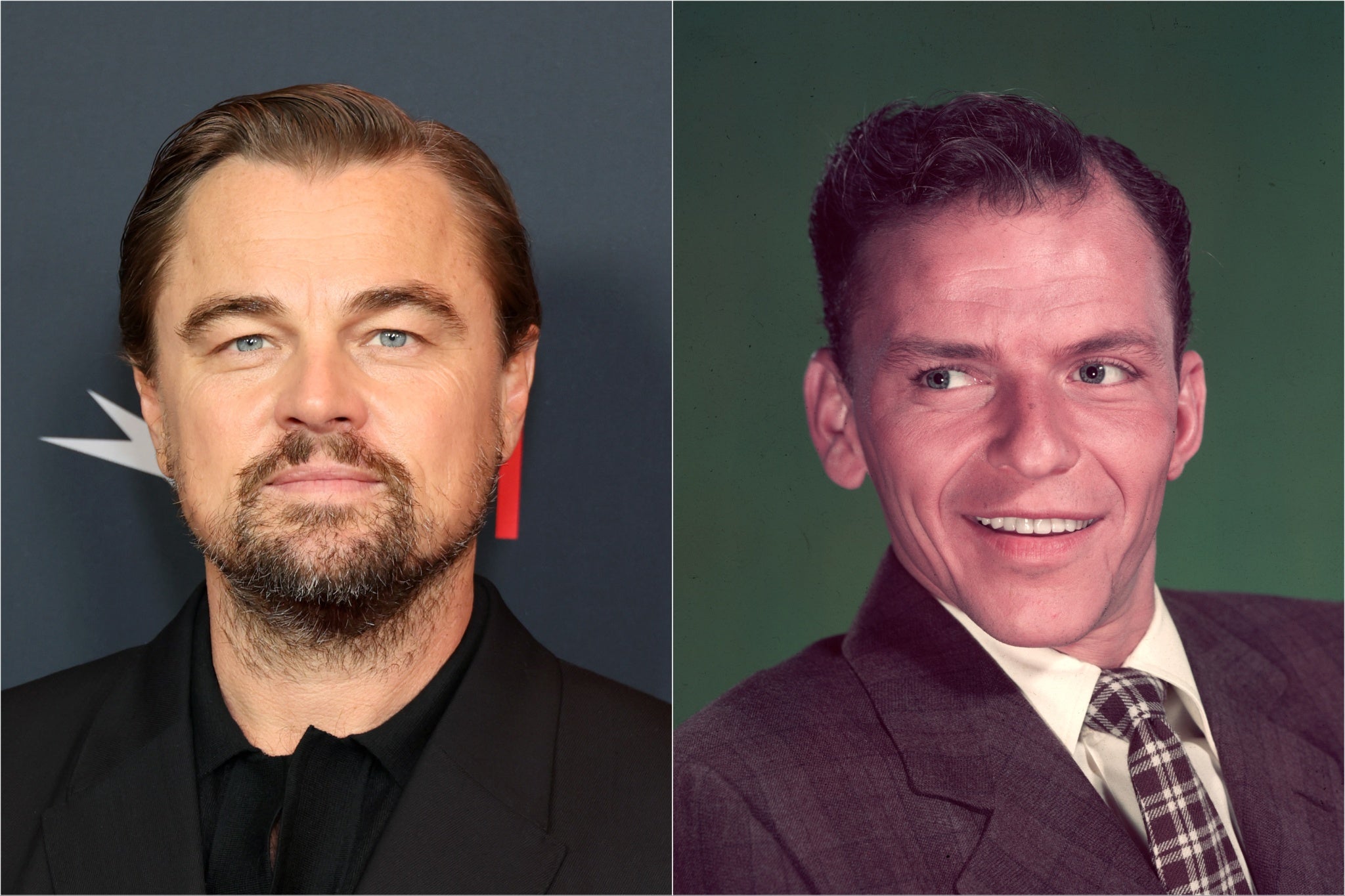 Leonardo DiCaprio is reportedly playing Frank Sinatra in a forthcoming Martin Scorcese biopic