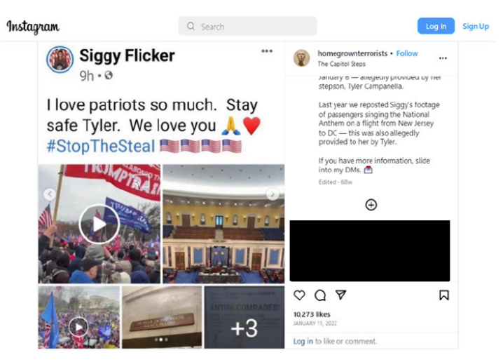 A screenshot of former Real Housewife Siggy Flicker’s Instagram account from the court affidavit concerning the January 6 allegations against her stepson