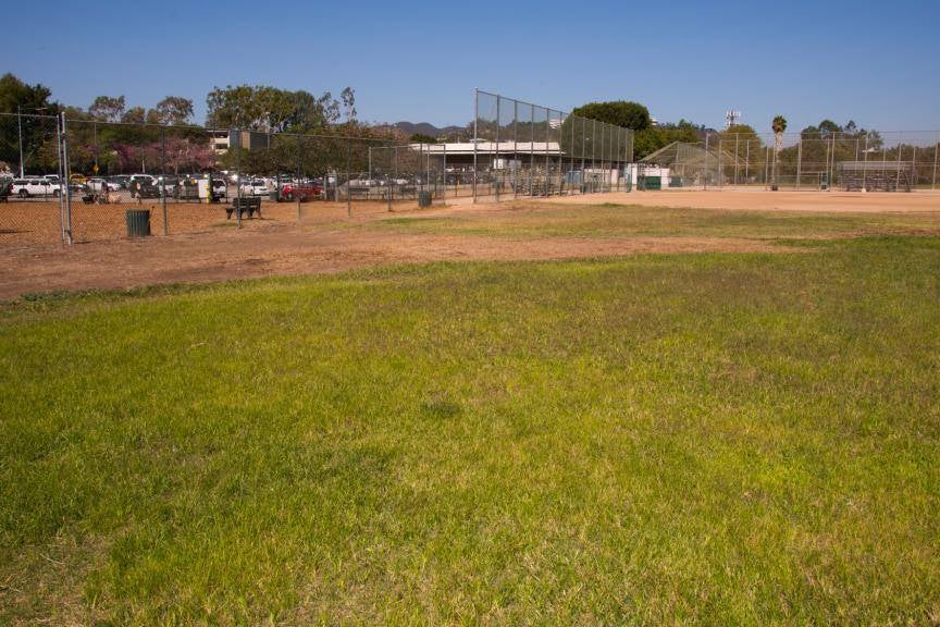 Alleged incident took place at Veteran’s Barrington Park in Los Angeles, California