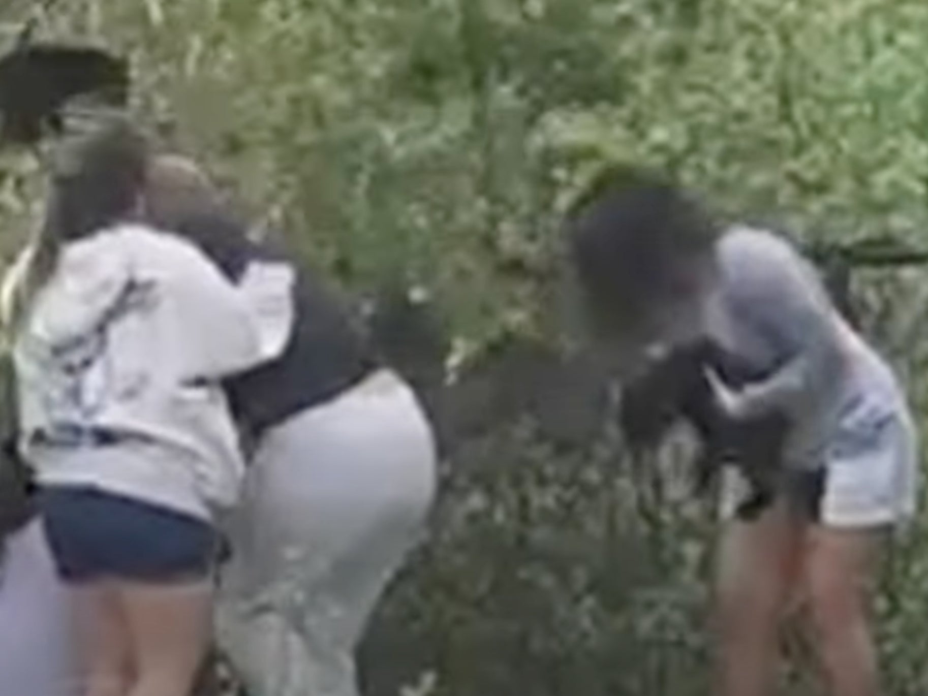 A group of people in North Carolina can be seen grabbing bear cubs after pulling them out of a tree to take photos