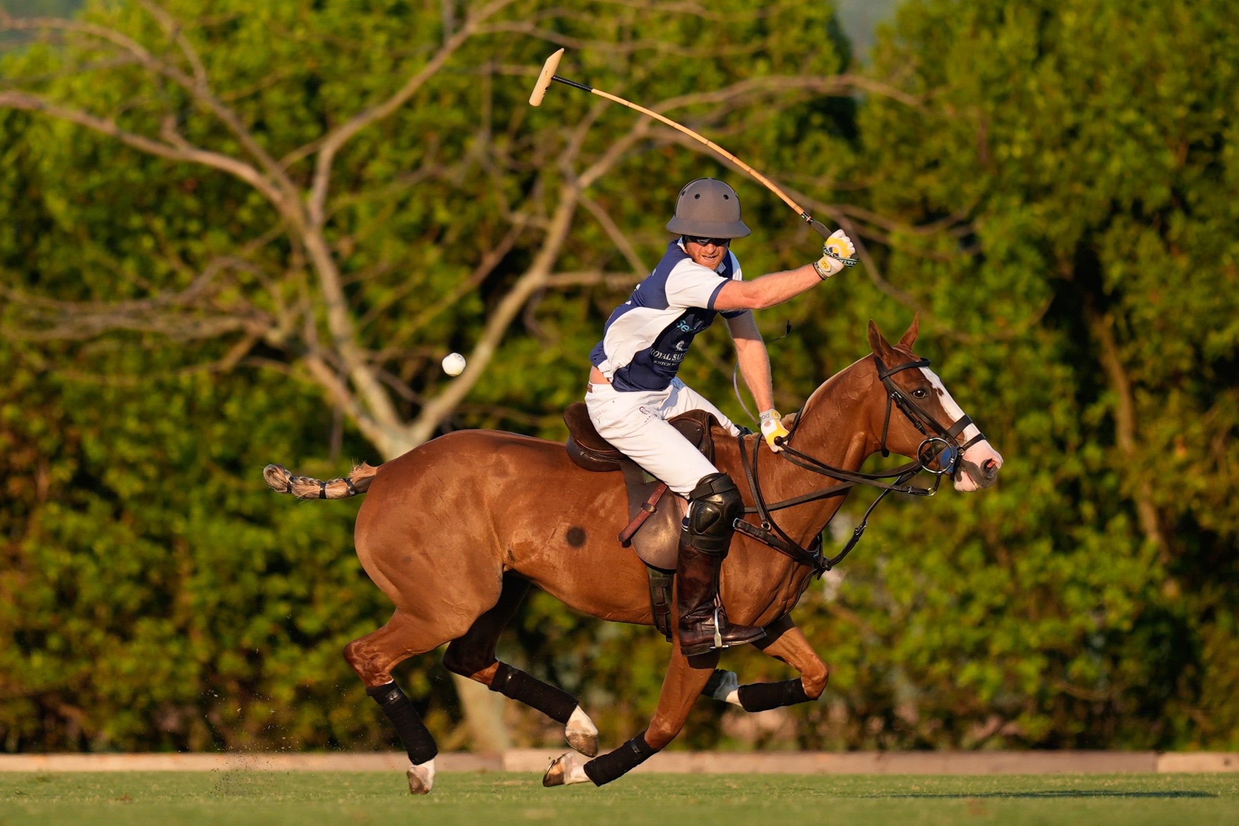 Prince Harry has been a keen polo player for years.