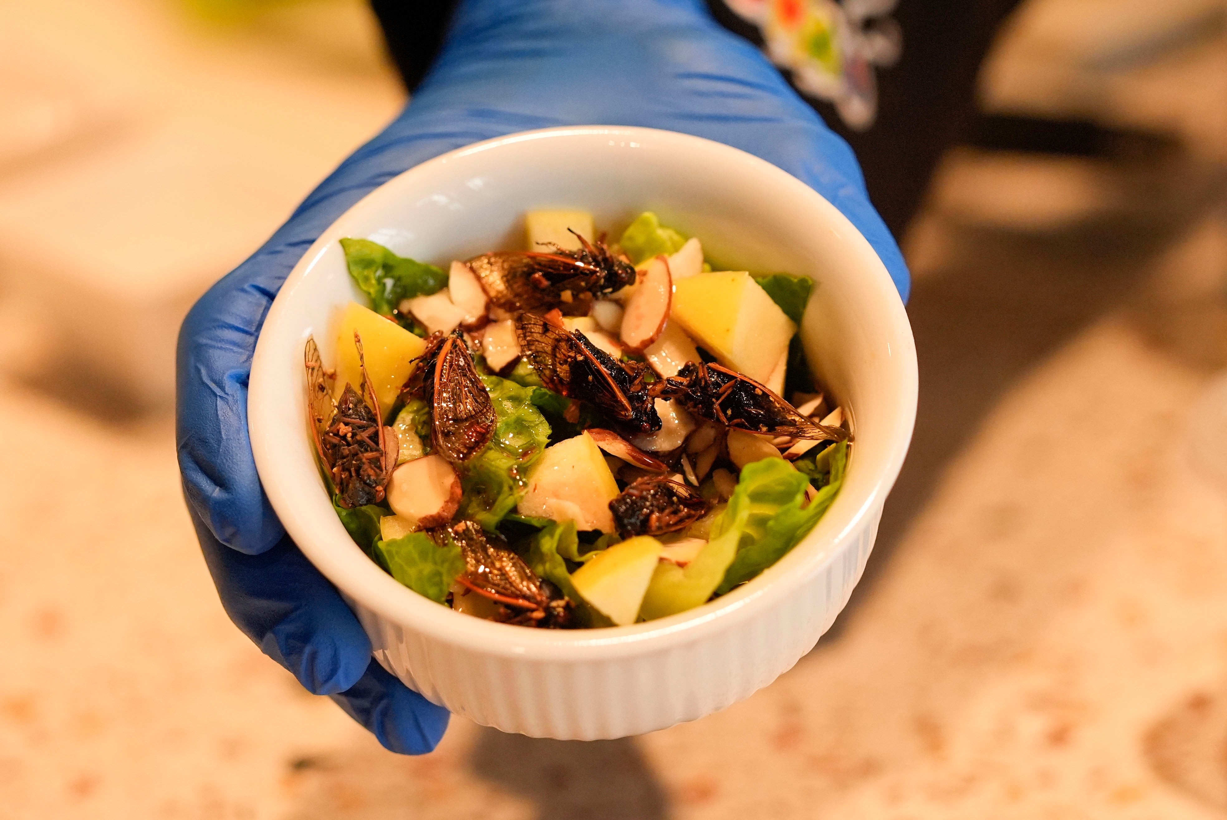 A cicadas salad