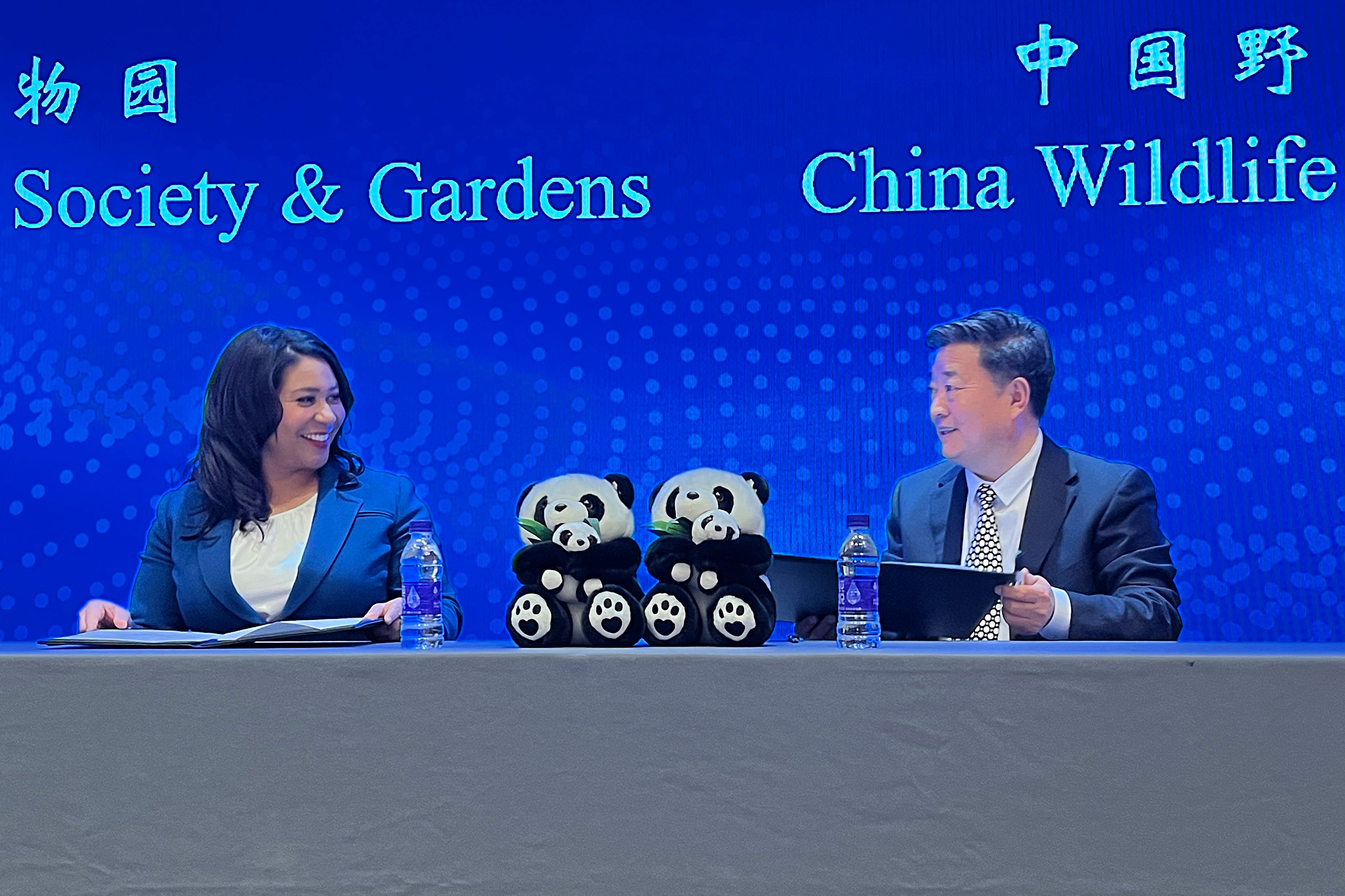 China San Francisco Panda