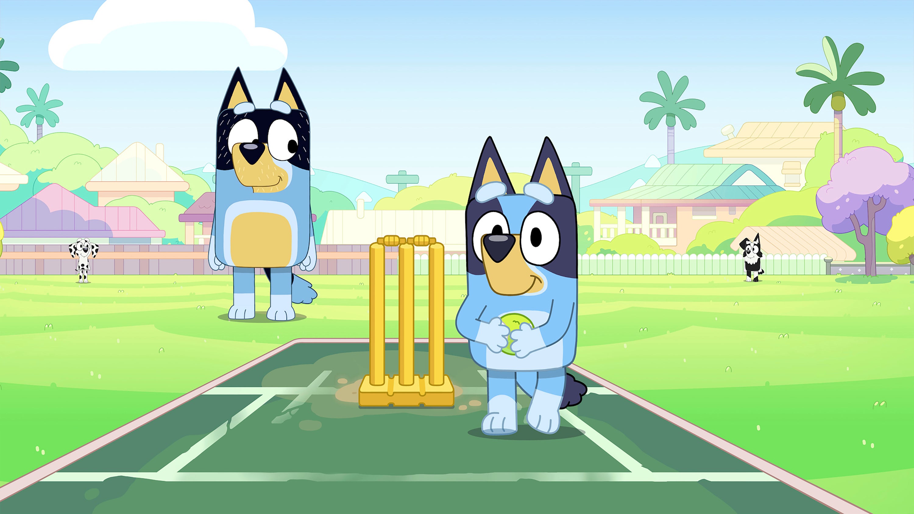 Bluey first aired in 2018