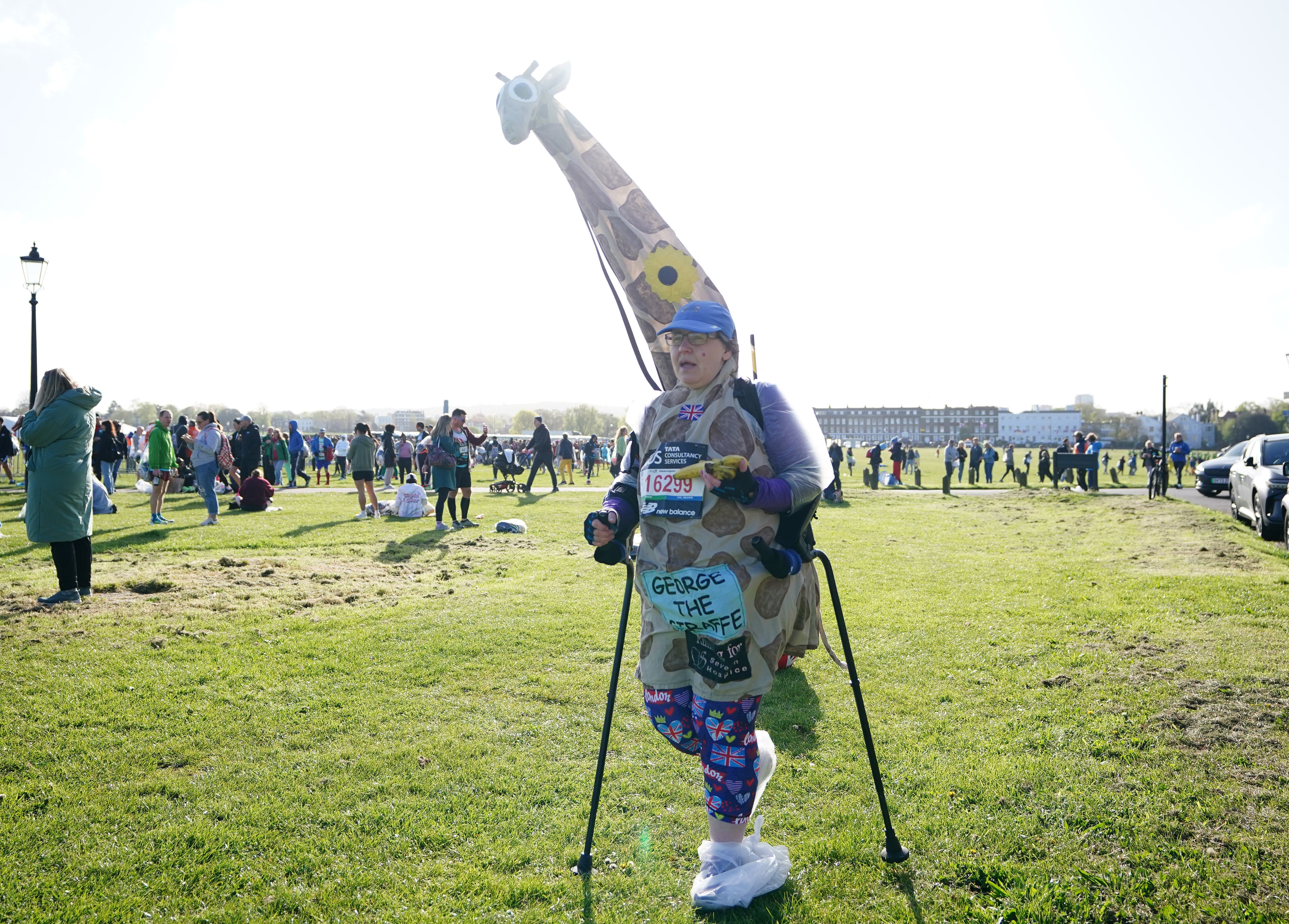 ‘George the Giraffe’ arrives at Blackheath