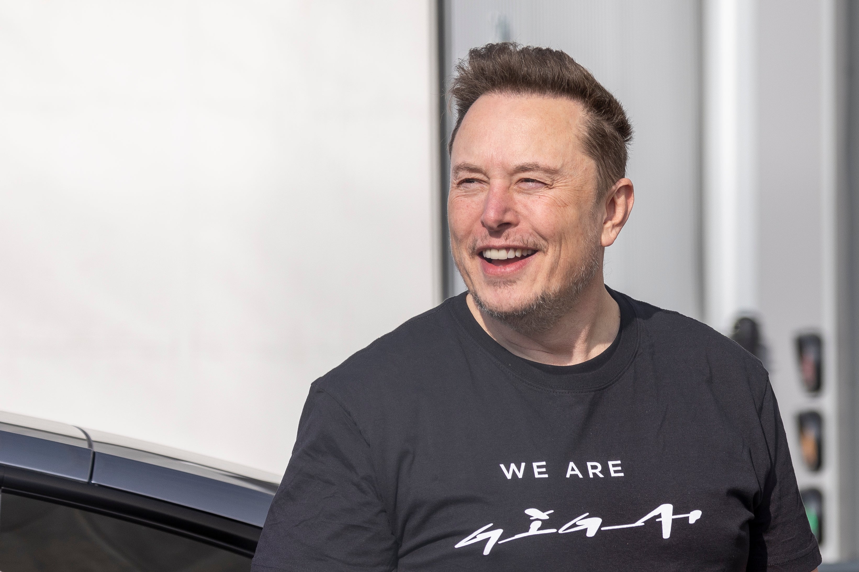 CEO of Tesla Elon Musk (file photo)