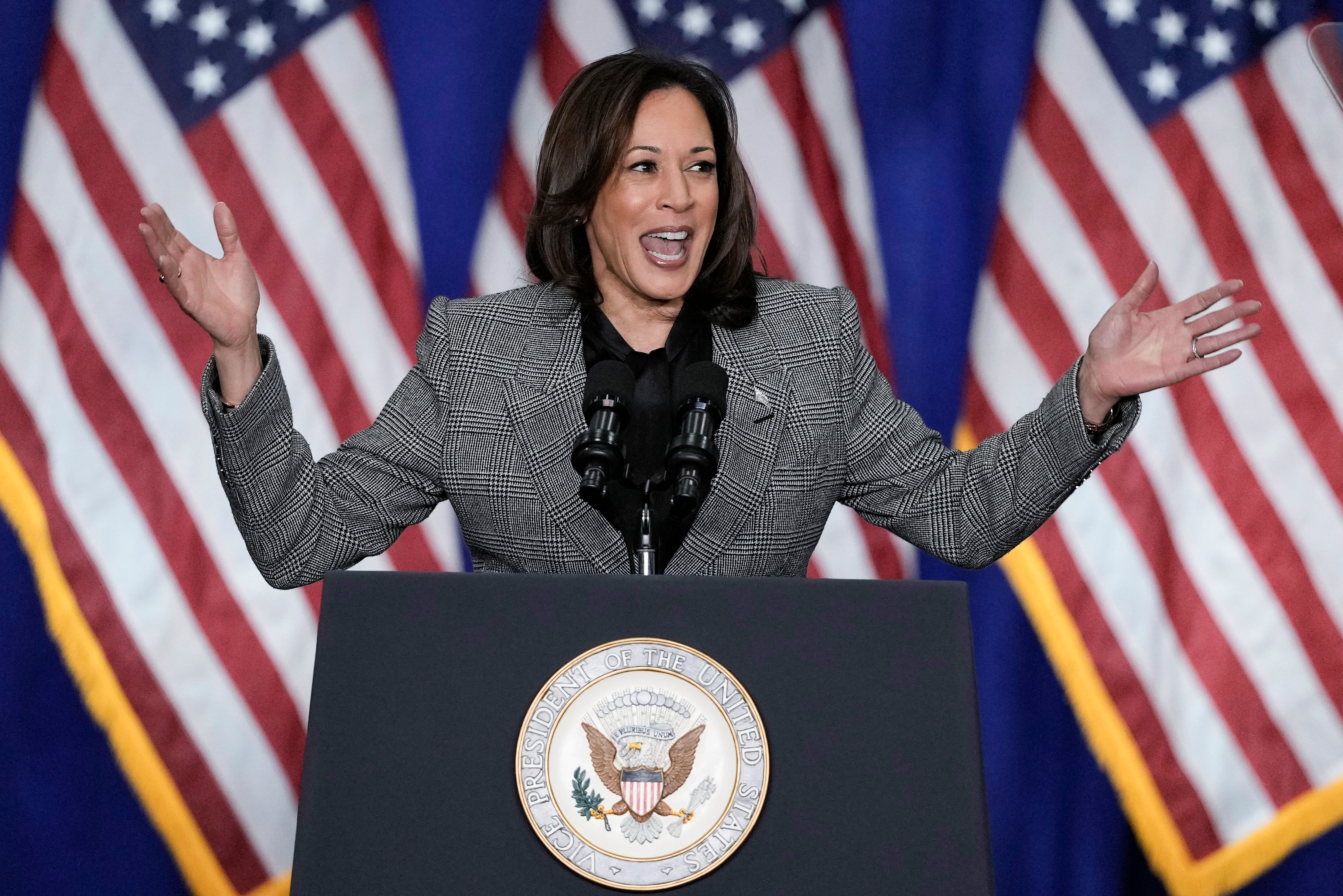 Kamala Harris speaks to a crowd