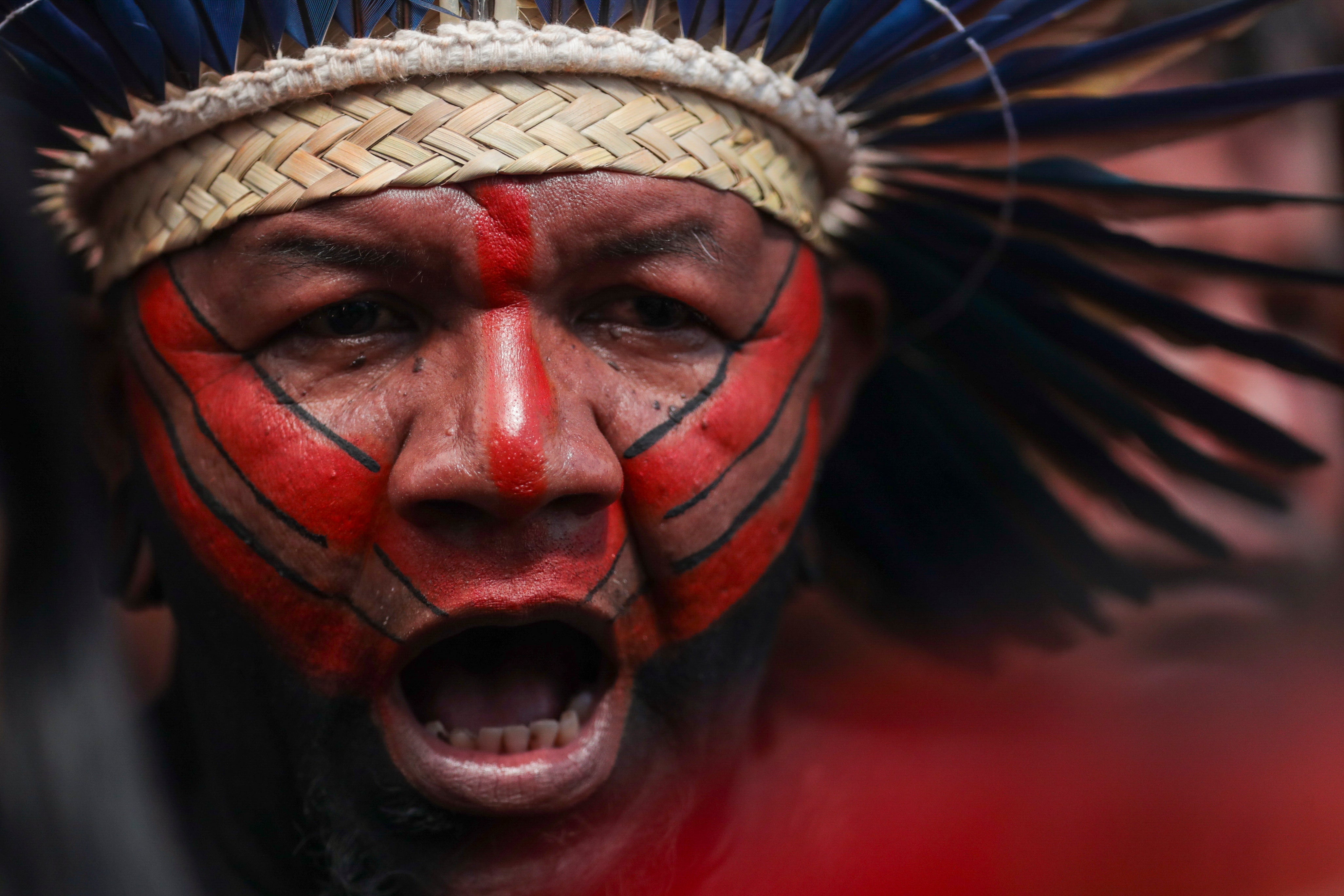 Brazil Indigenous