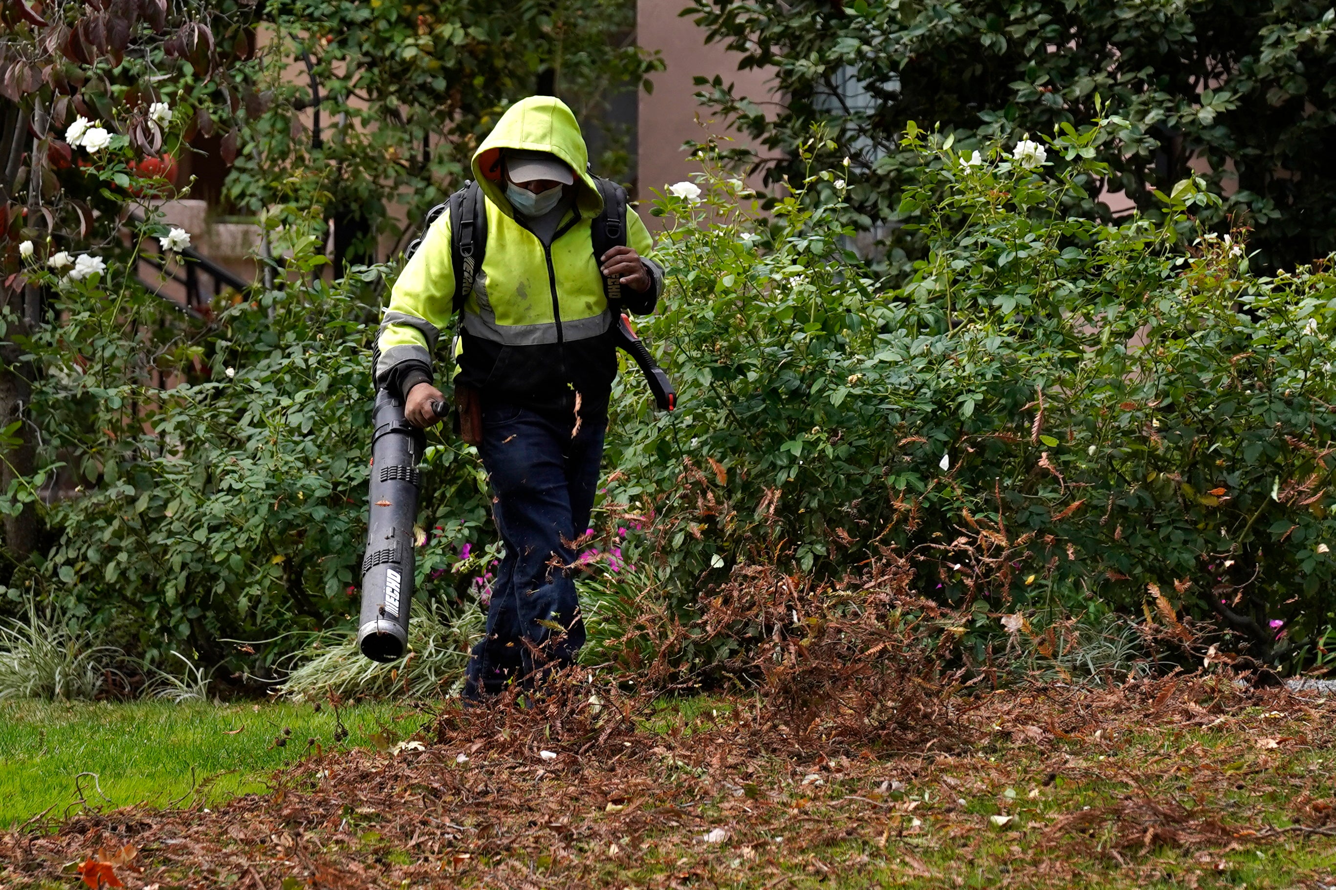 Gardening-Leaf Blowers