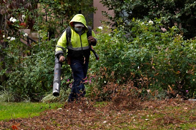 Gardening-Leaf Blowers