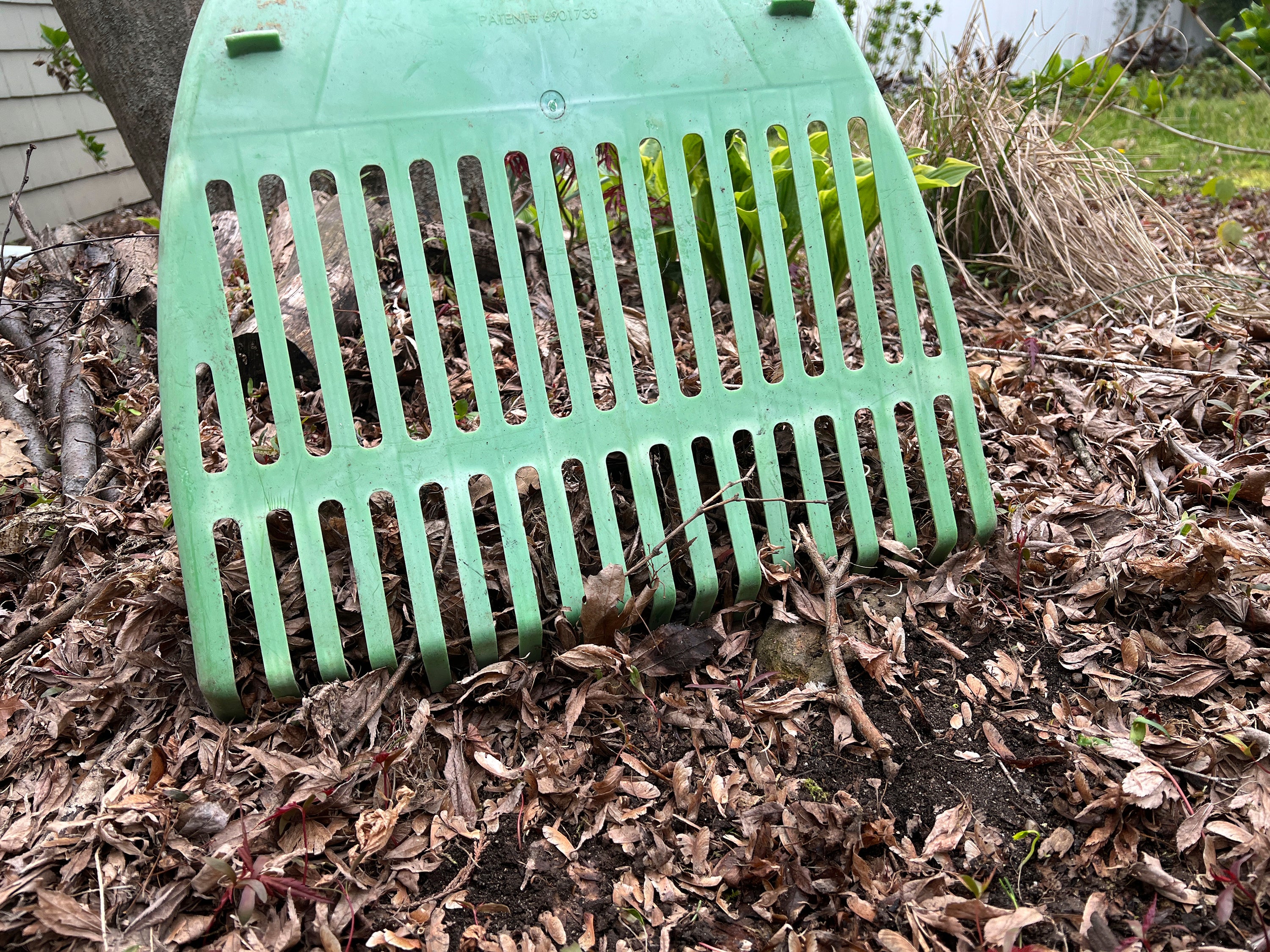 This April 21, 2024, image provided by Jessica Damiano shows a garden rake in use to clear leaves on Long Island, New York