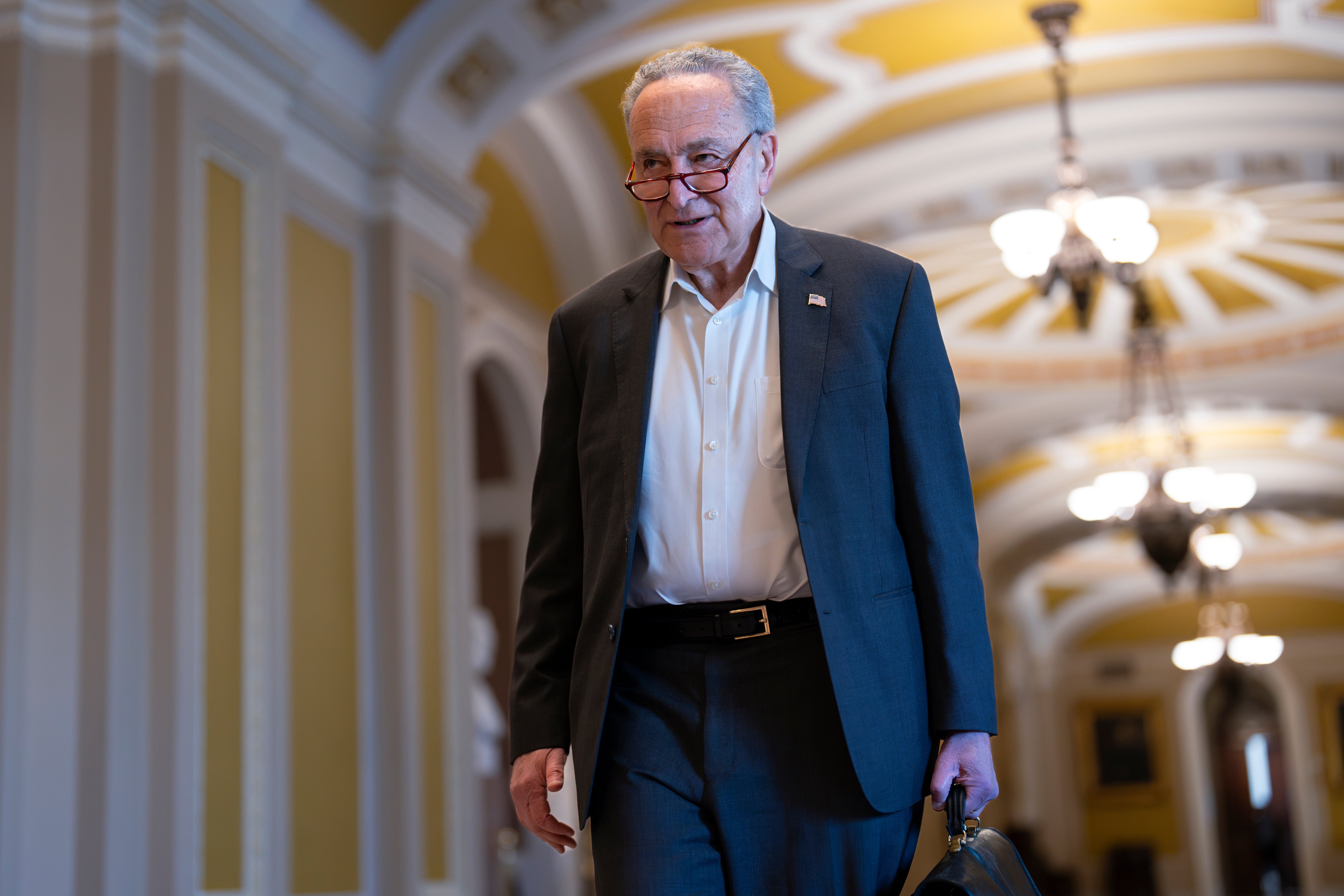 Protesters were arrested a block from Senate leader Chuck Schumer’s Brooklyn home