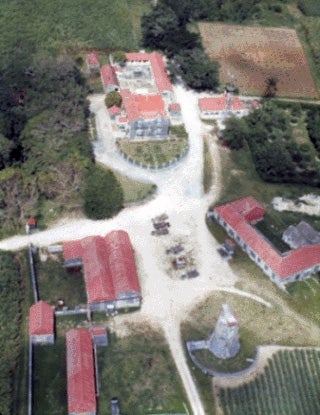 An aerial image of the Drax plantation