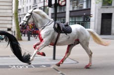 What is the Household Cavalry?