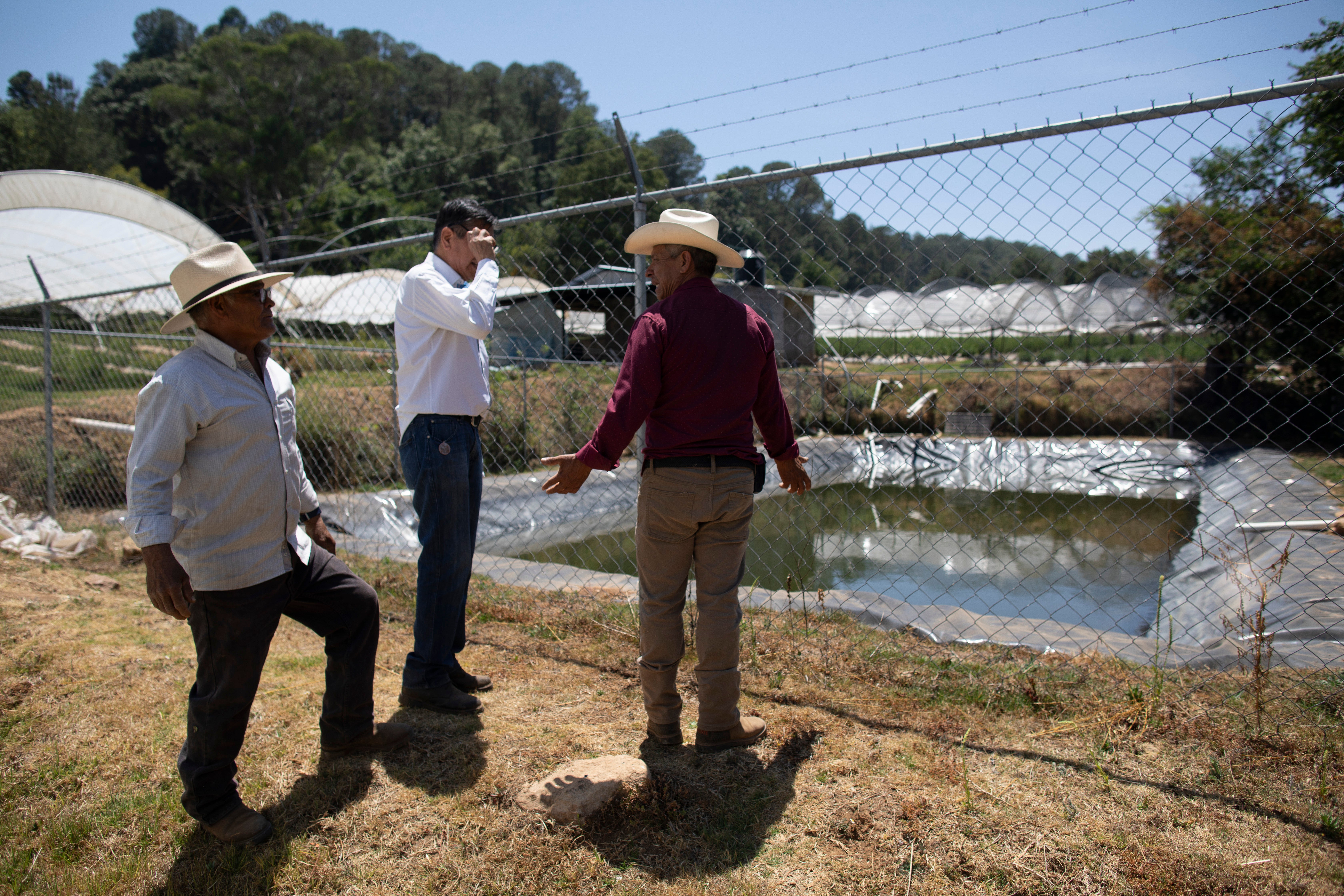 Residents of Villa Madero, Mexico, look at unlicensed irrigation holding ponds during a drought in the mountains of Villa Madero