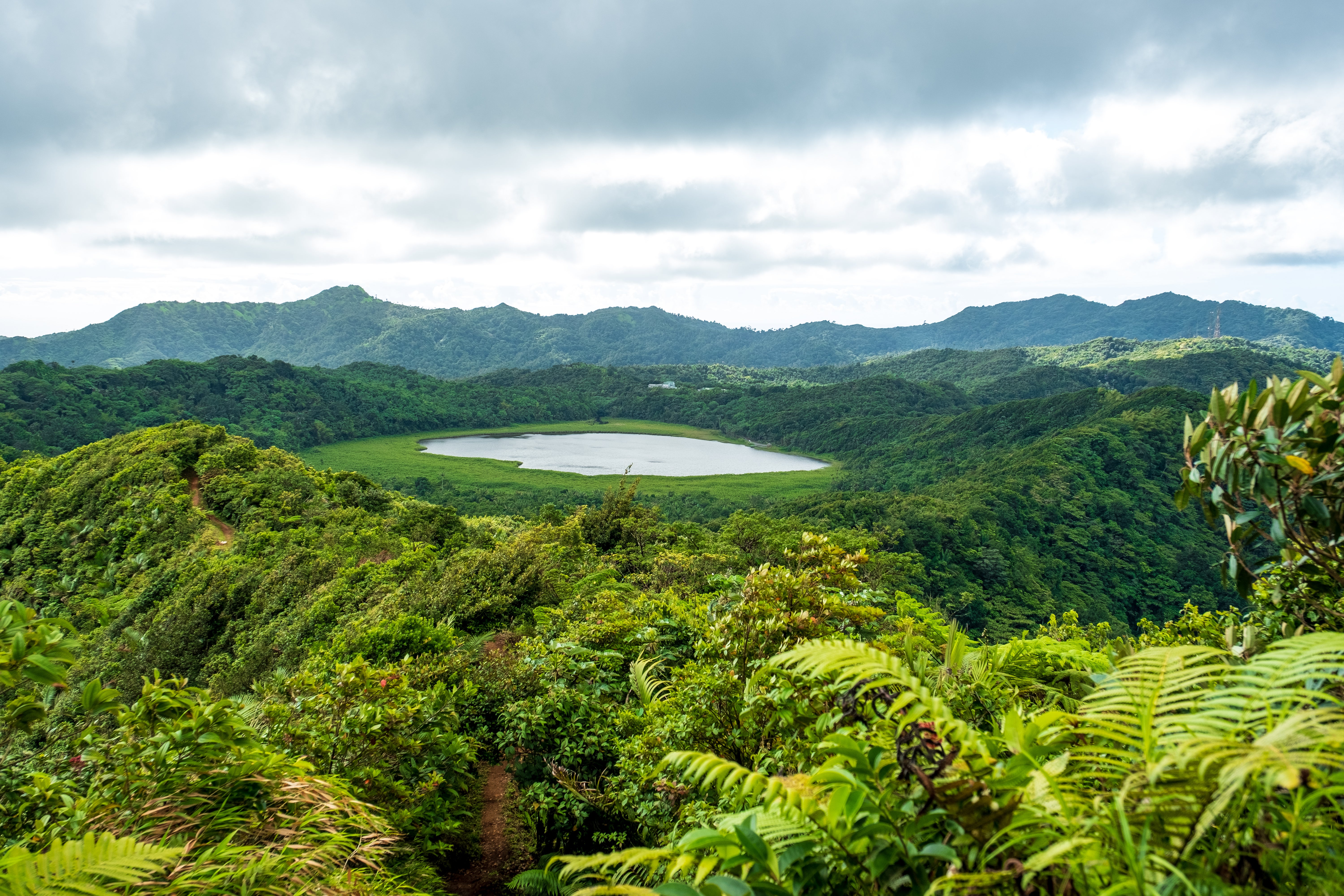 Nothing beats an exhilarating hike through Grenada’s lush rainforests