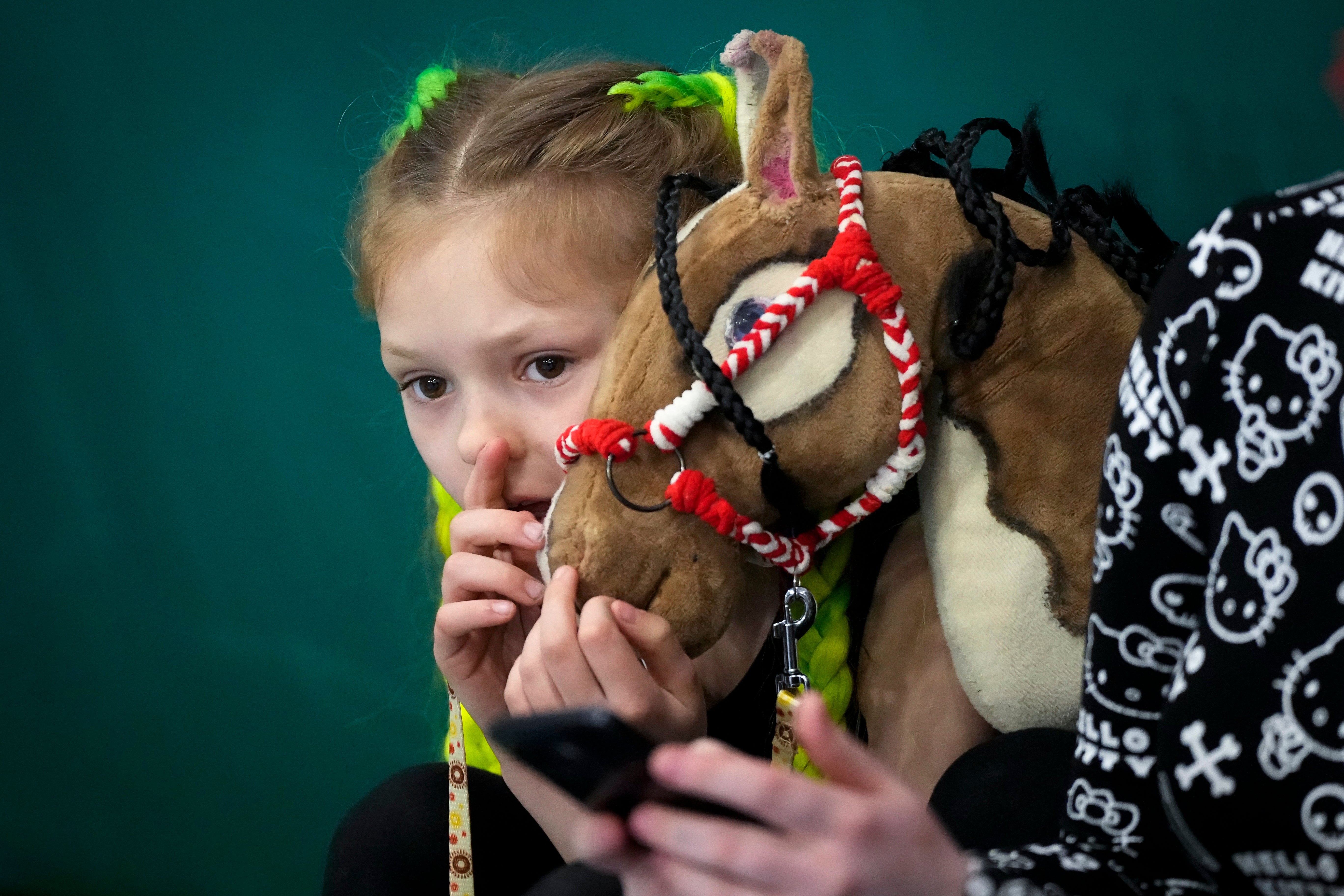Russia Hobby Horse Photo Gallery