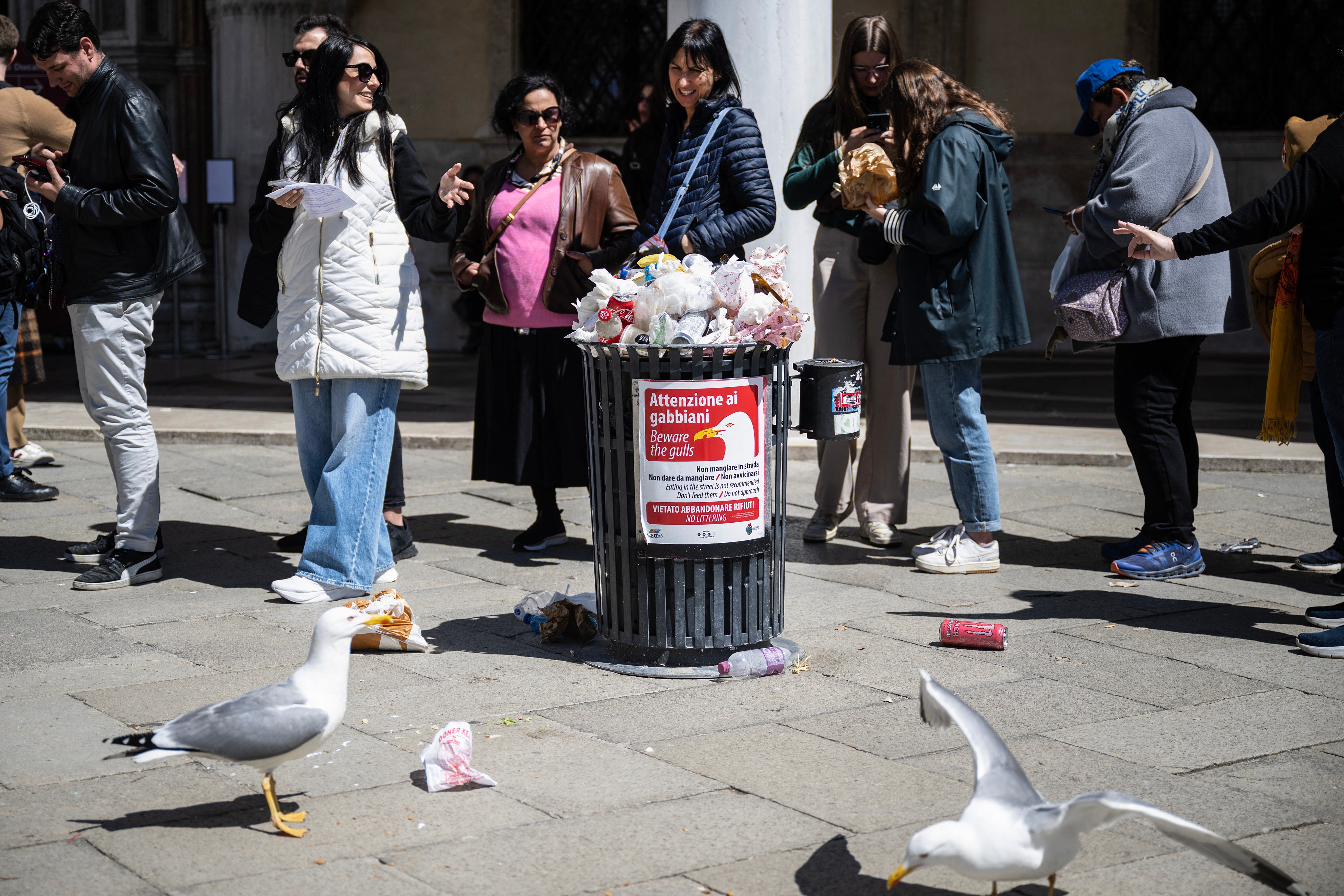 Visitors queue to enter the Basilica next to seagulls and a bin with a placard reading “Beware the gulls” in San Marco Square in Venice, on April 25, 2024